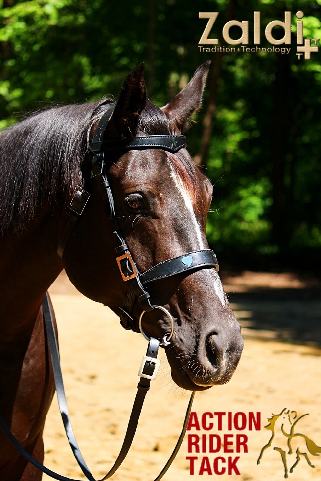 Traditional Menorquian type Spanish... - Action Rider Tack | Facebook