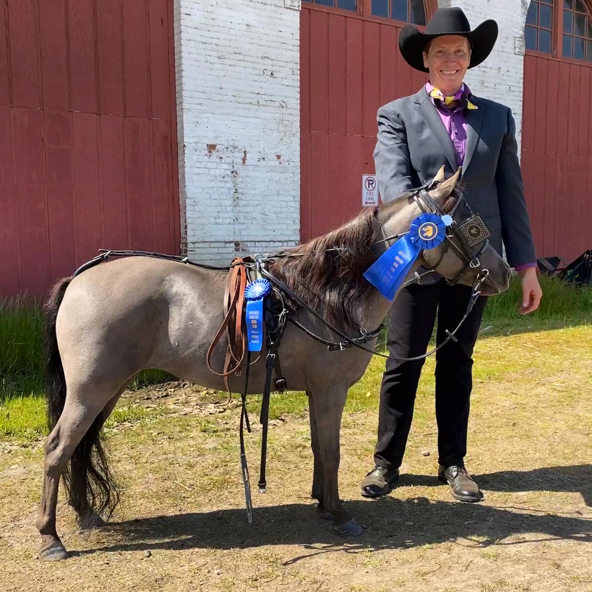 Here are the horse shoes of Supreme Airs, 1972 Fine Harness Grand 