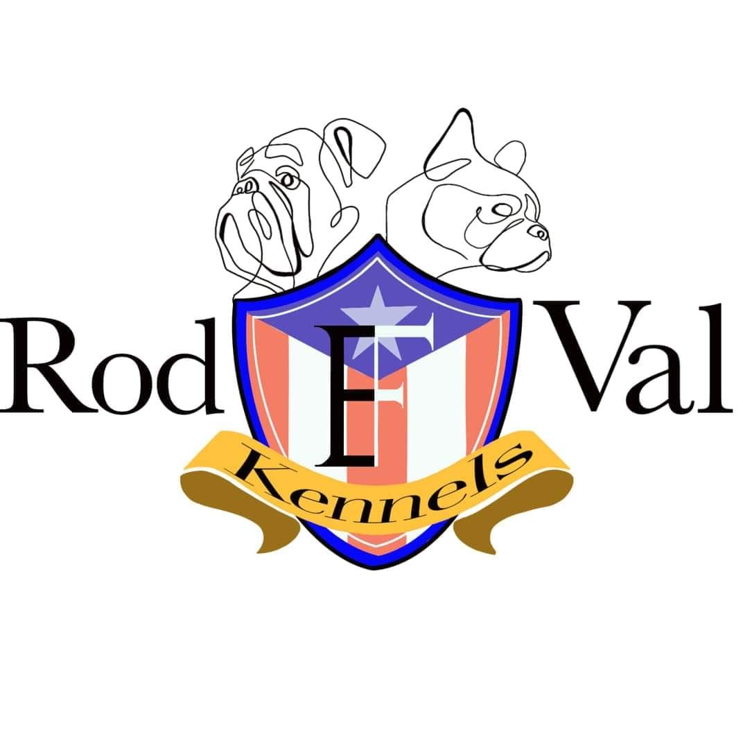 RodVal Bulldogs - English Bulldogs de Puerto Rico | Facebook