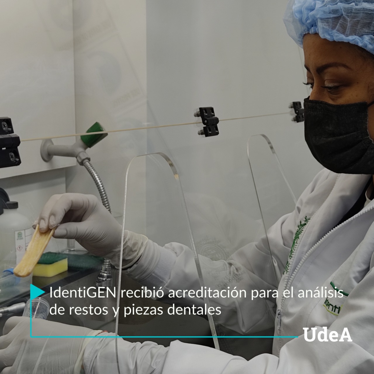 Universidad - #UdeACiencia UNIVERSIDAD DE ANTIOQUIA LABORATORIO DE ...