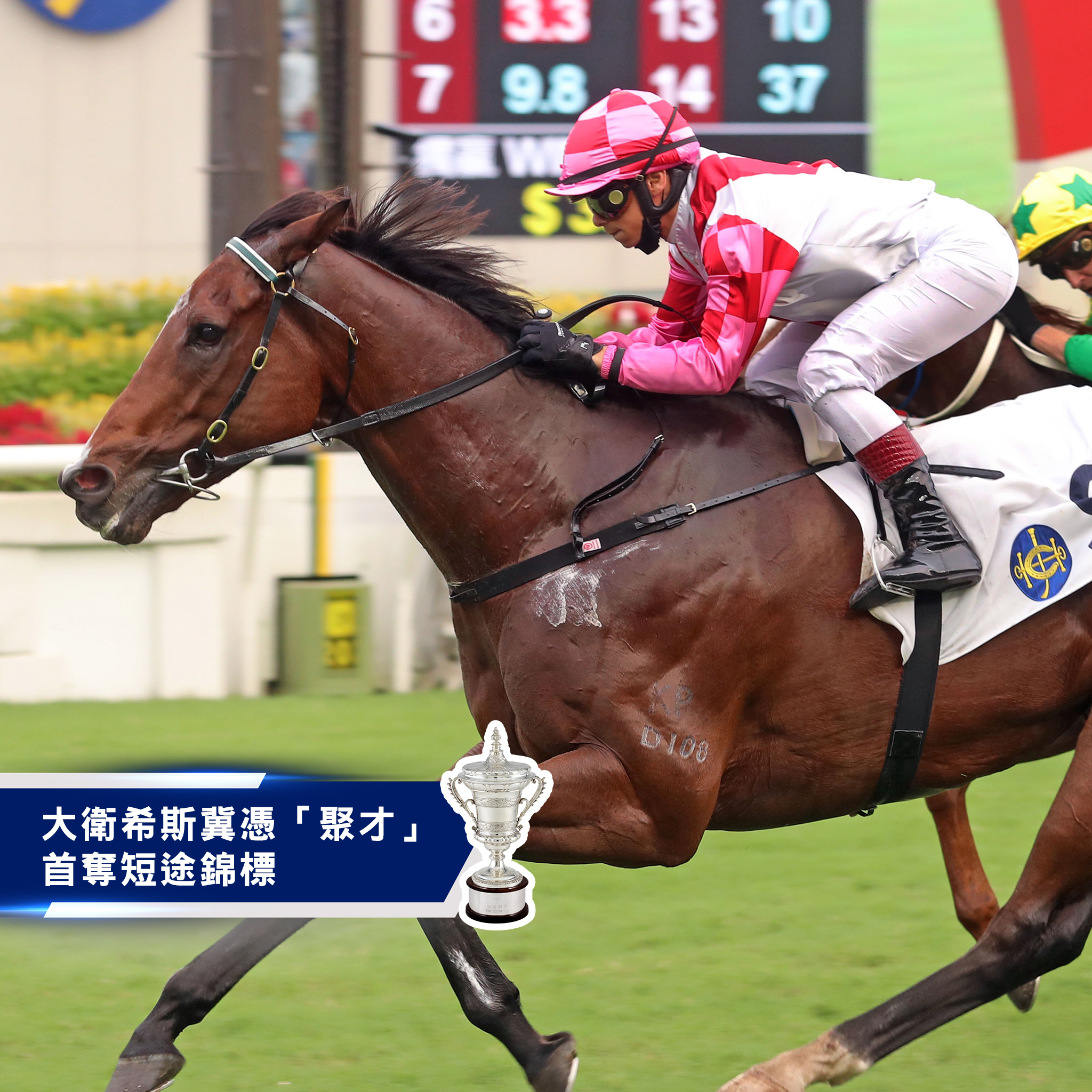 HKJC Racing - Home