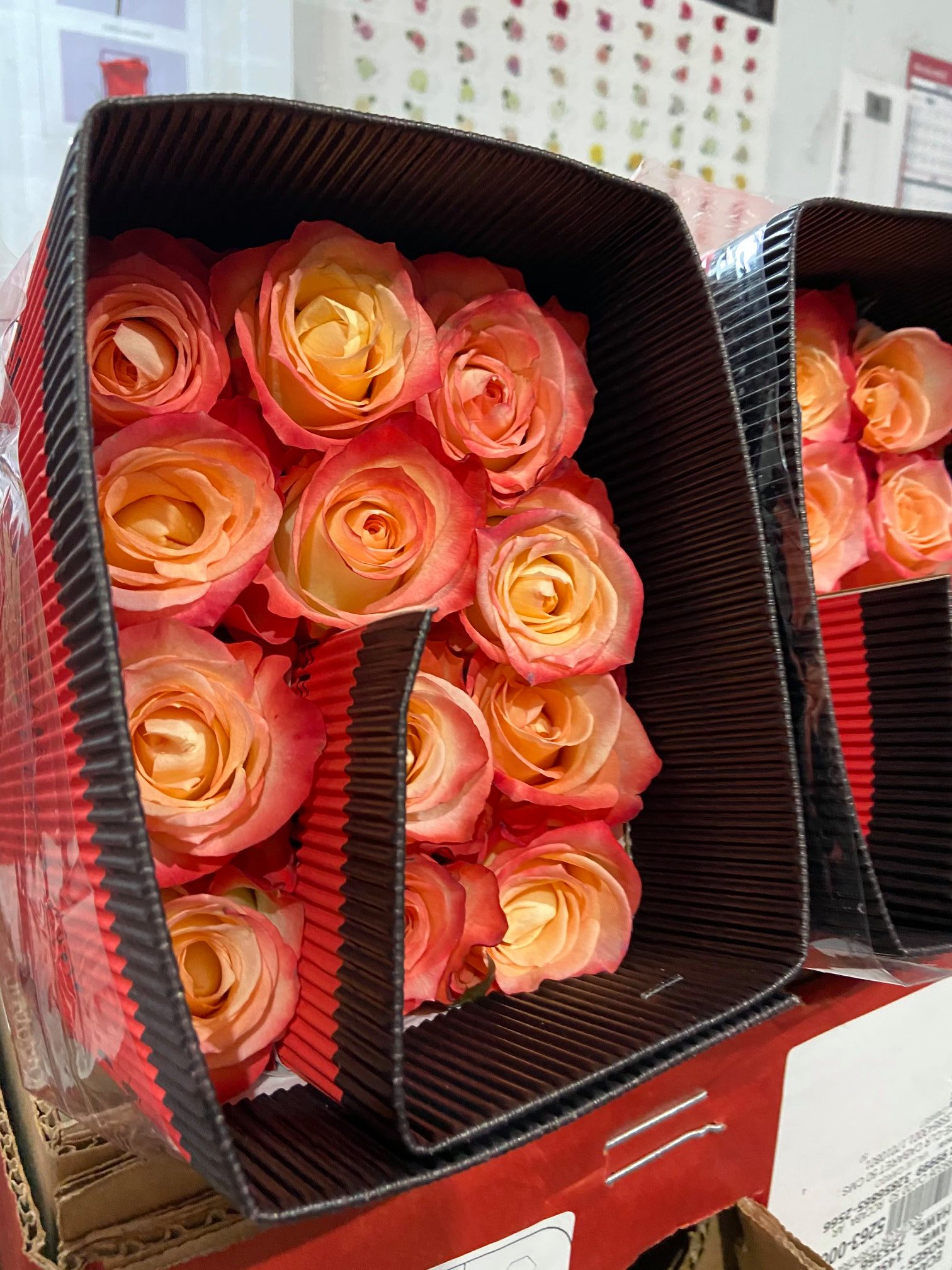 Rio Roses - Rio Roses 😍🧡💛🧡 In love with those colors! Who...