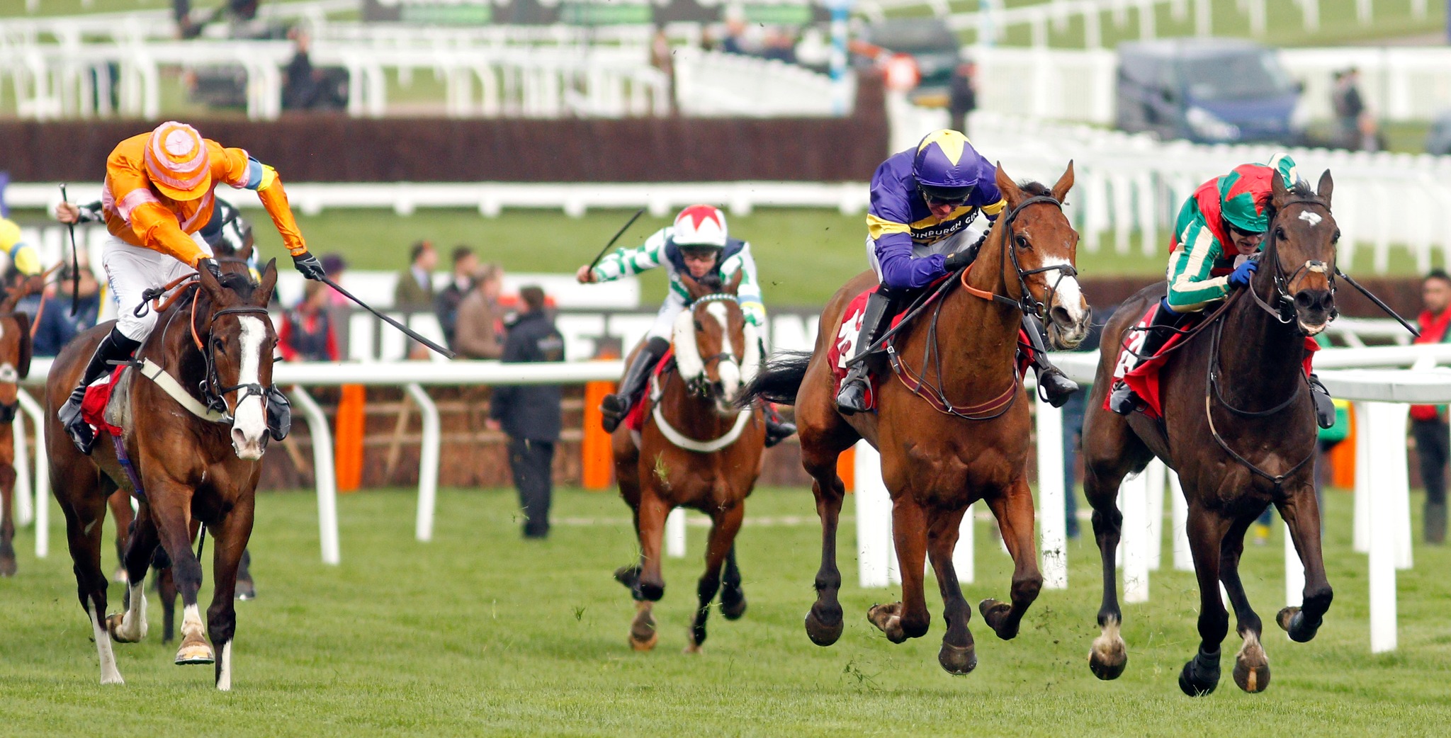 CORACH RAMBLER's eyes will follow... - Cheltenham Racecourse