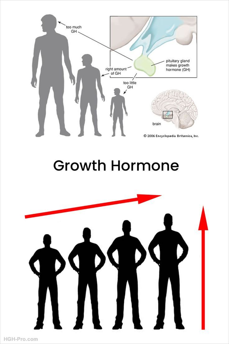 HITO - What are normal levels of human growth hormone (HGH)? Your ...