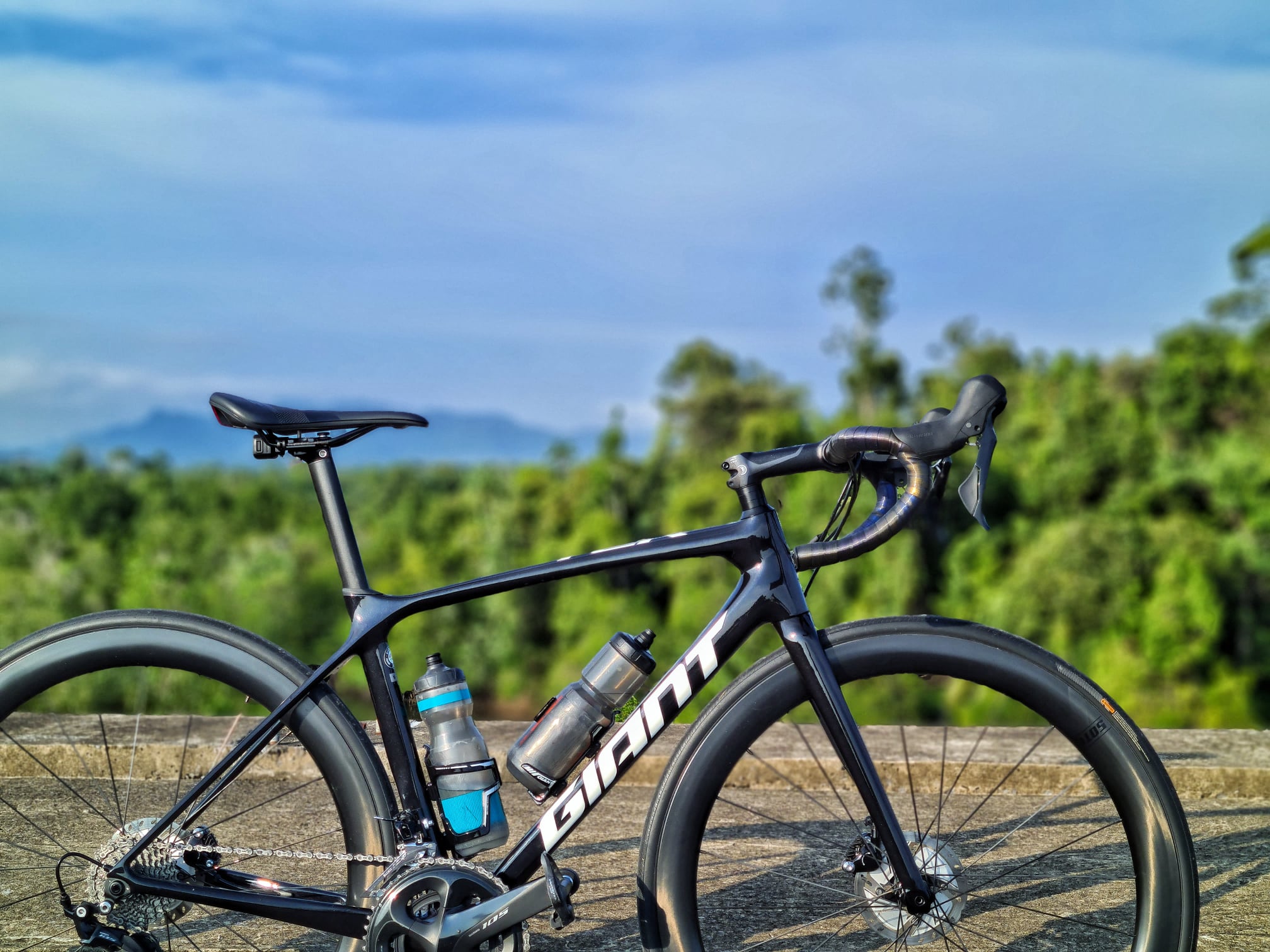 Edwin Lay - A short write up about the RHC S.50 Disc...