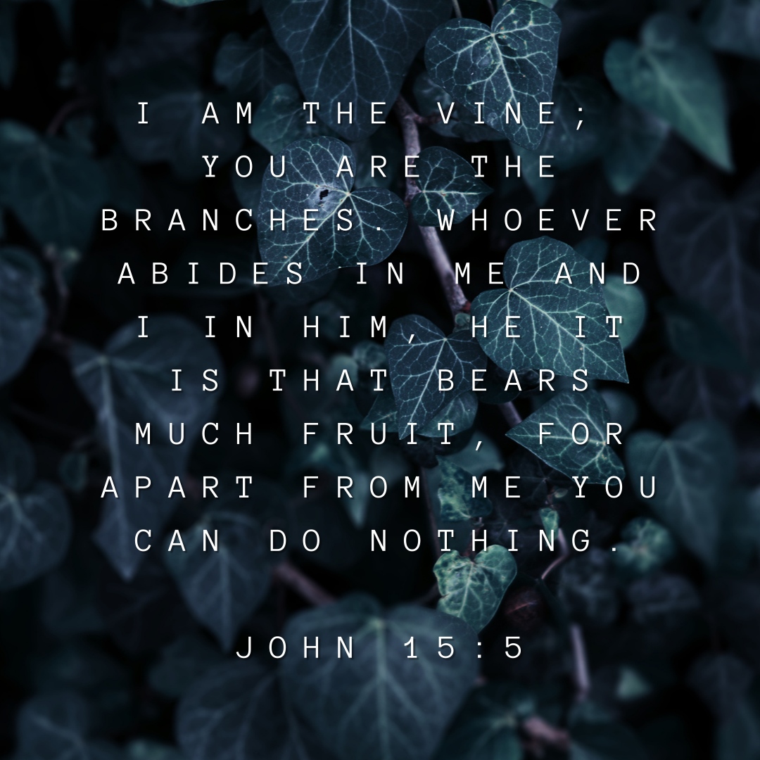 “I am the vine; you are the... - Point Harbor Church