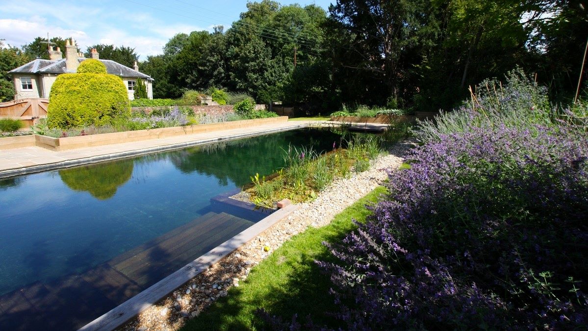 Earth911 - A natural swimming pool is a human-made pool...
