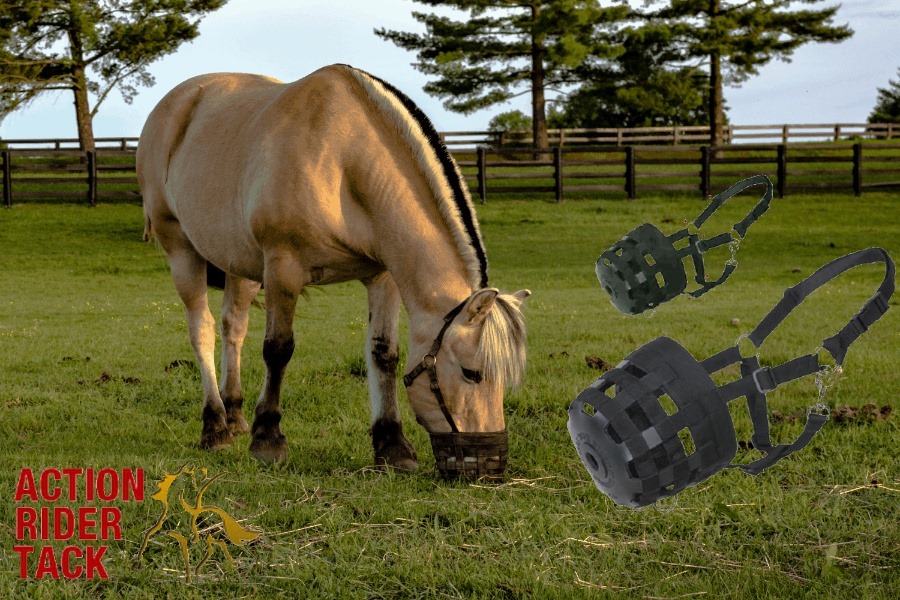 Many ponies and horses are overweight... - Action Rider Tack | Facebook