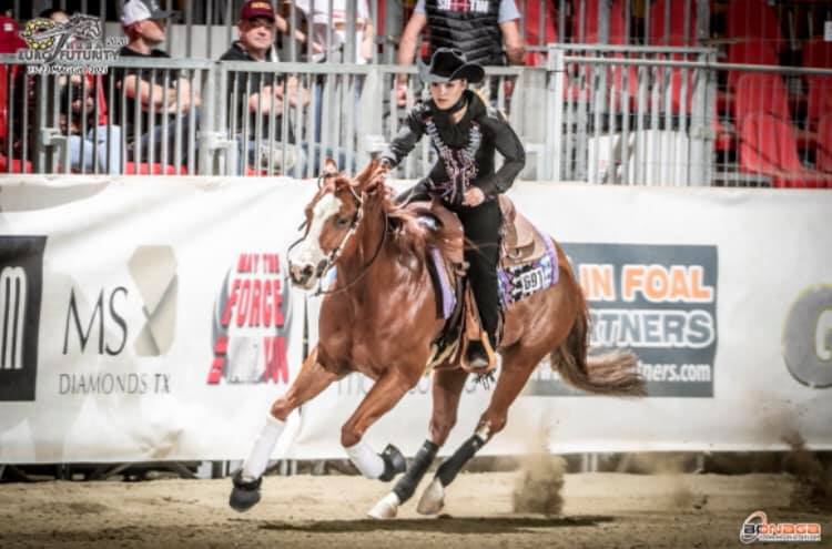 Morey Fisk Performance Horses