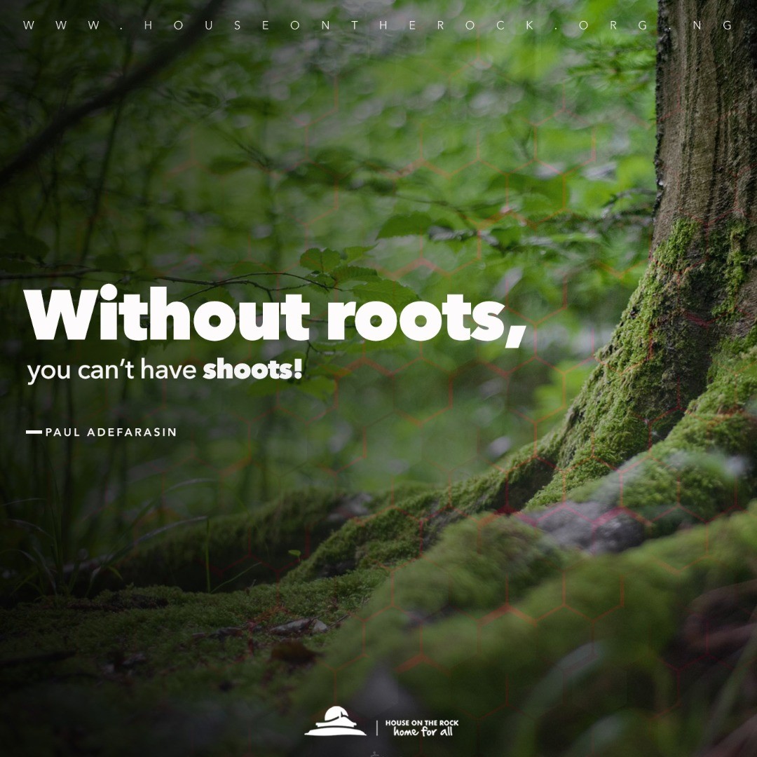 House On The Rock - No tree can emerge from the ground without ...
