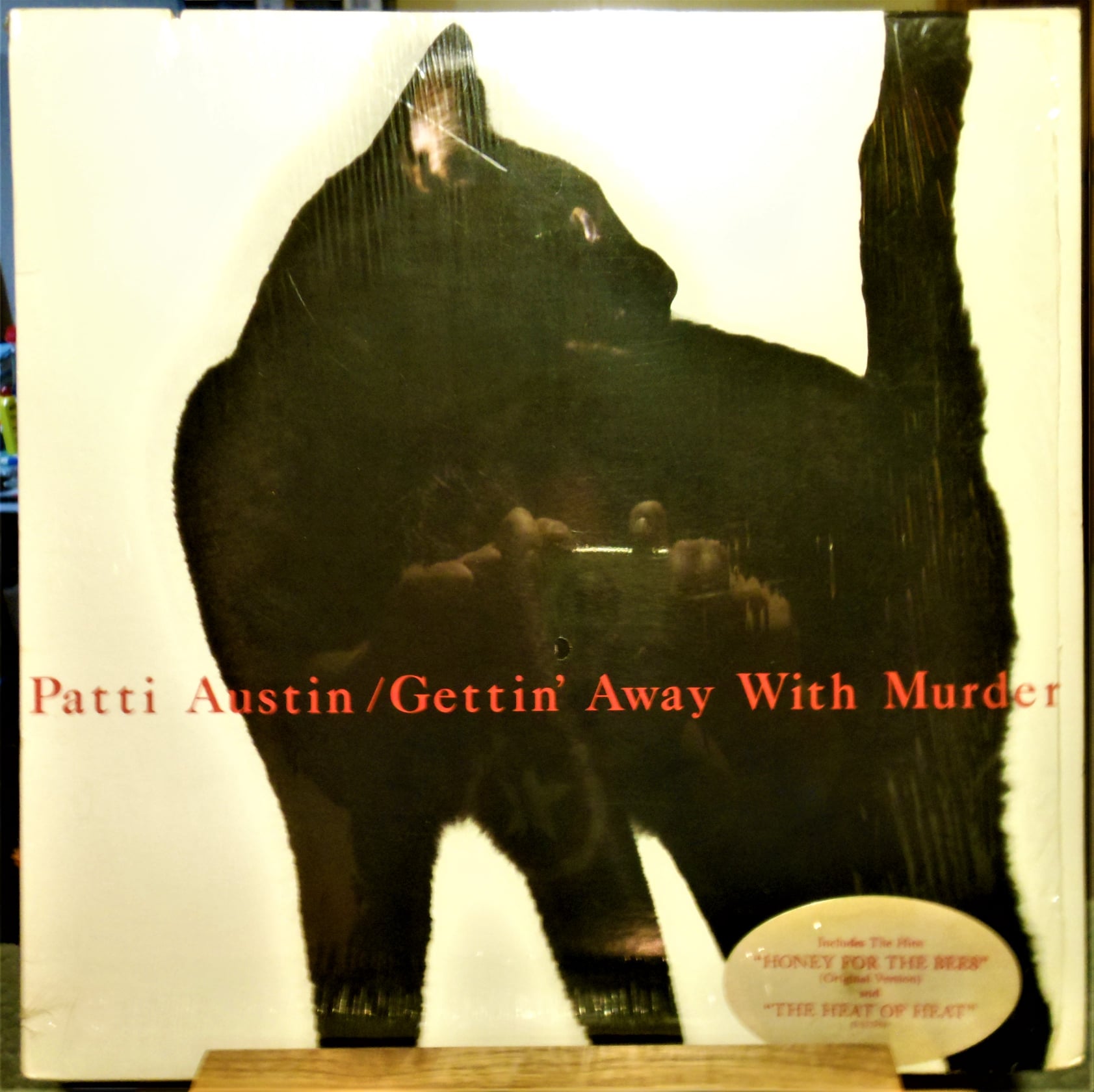 Patti Austin and Take Away The Pain Stain