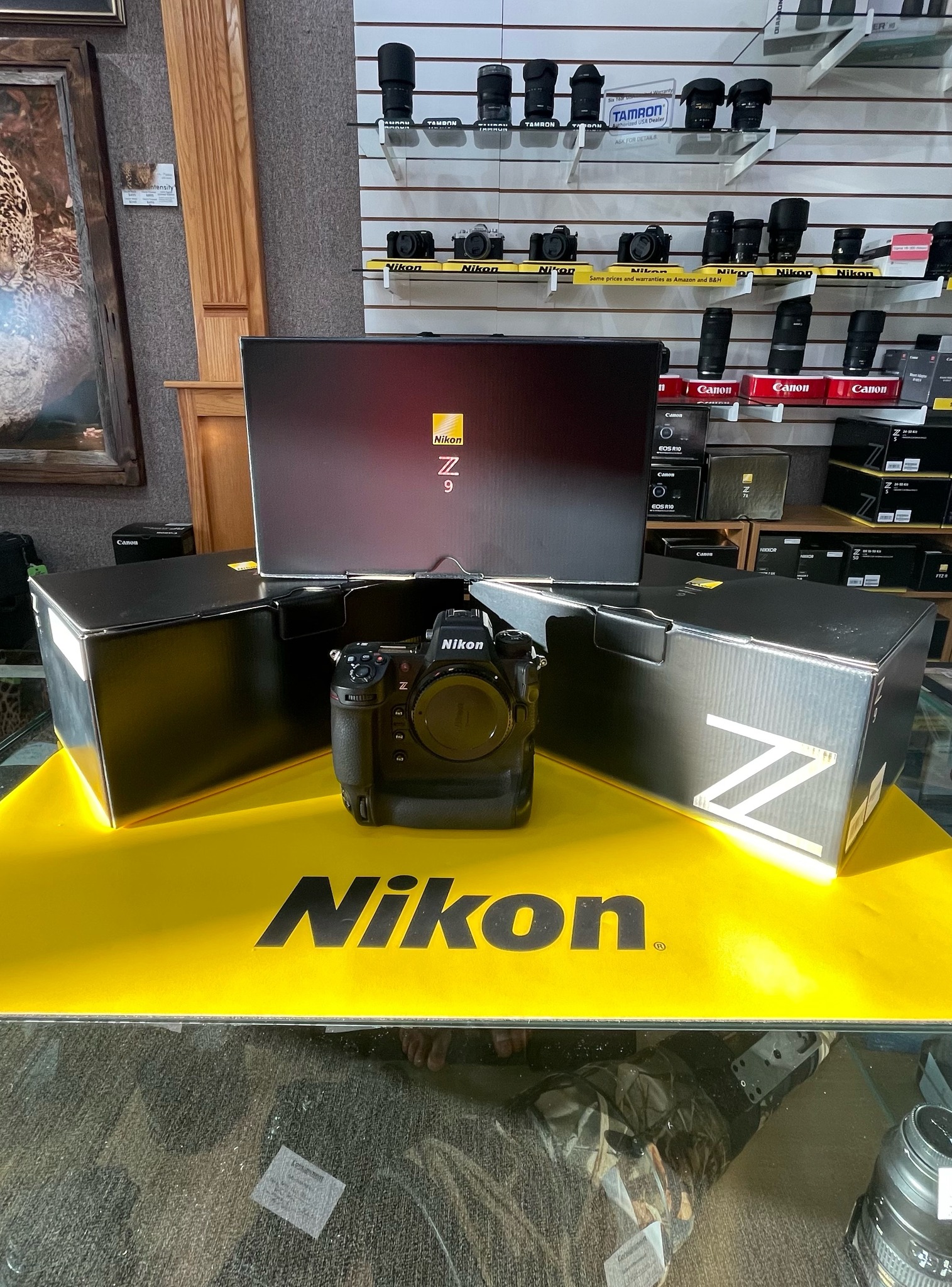 We have THREE Nikon Z9 Cameras ON... - Perfect Light Camera | Facebook