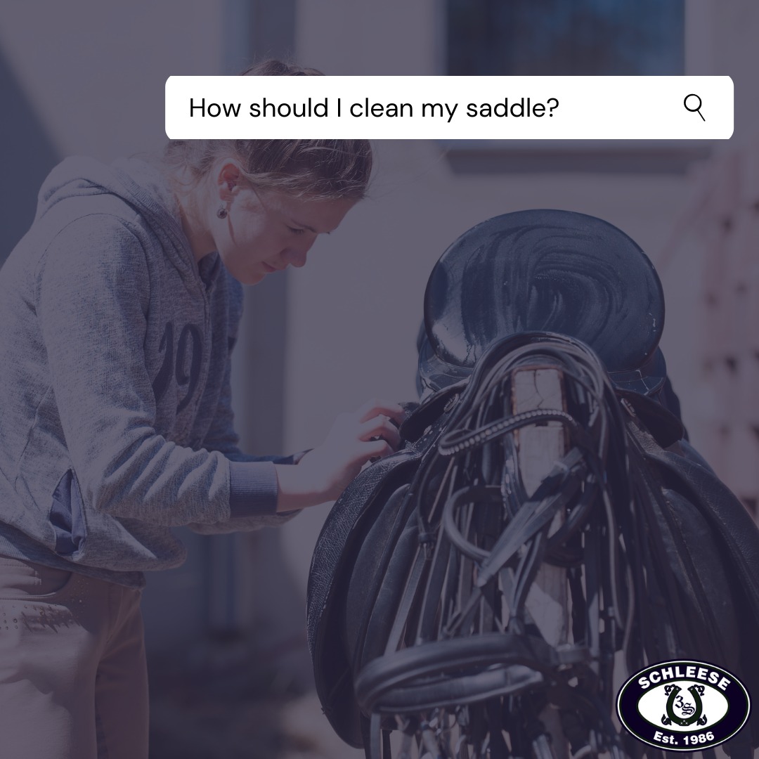 The more you know! - StableManners, LLC | Facebook