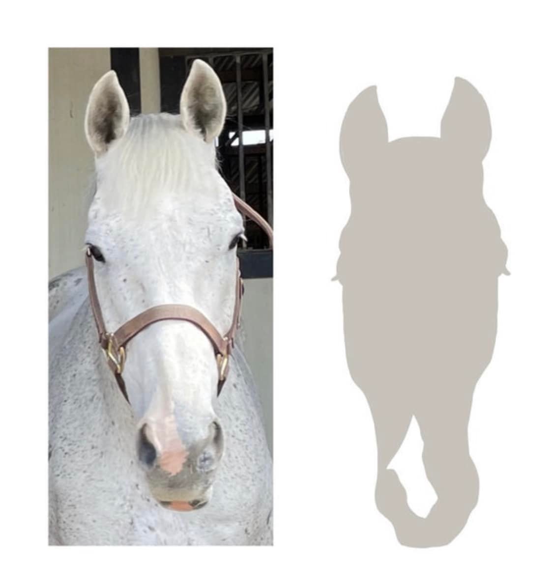 Profile Horse Vinyl Decal, Car Window Sticker, Design for Truck or Trailer