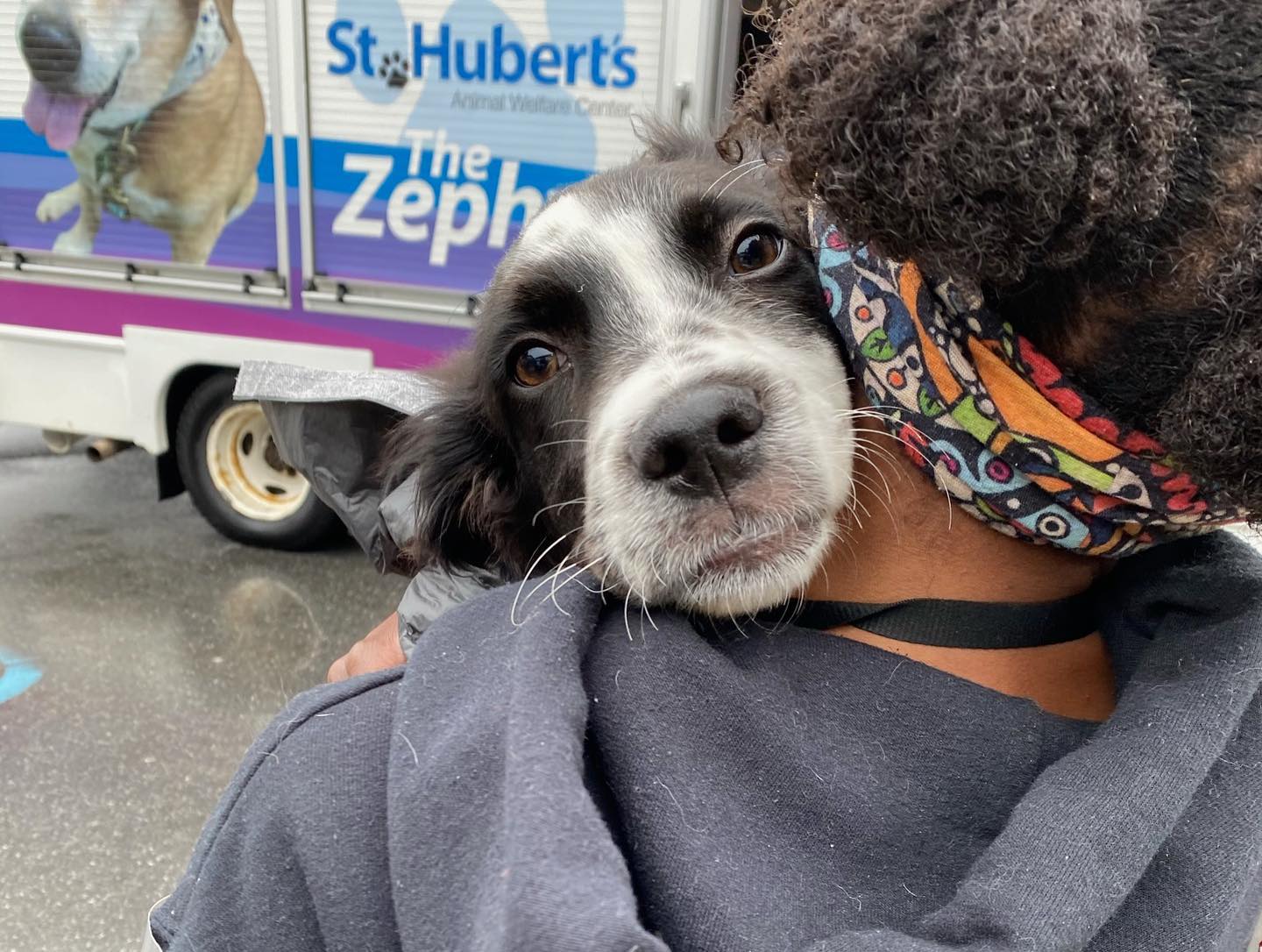 Humane - 20 TAILS AWAGGIN’! This past Thursday, we welcomed a fabulous ...