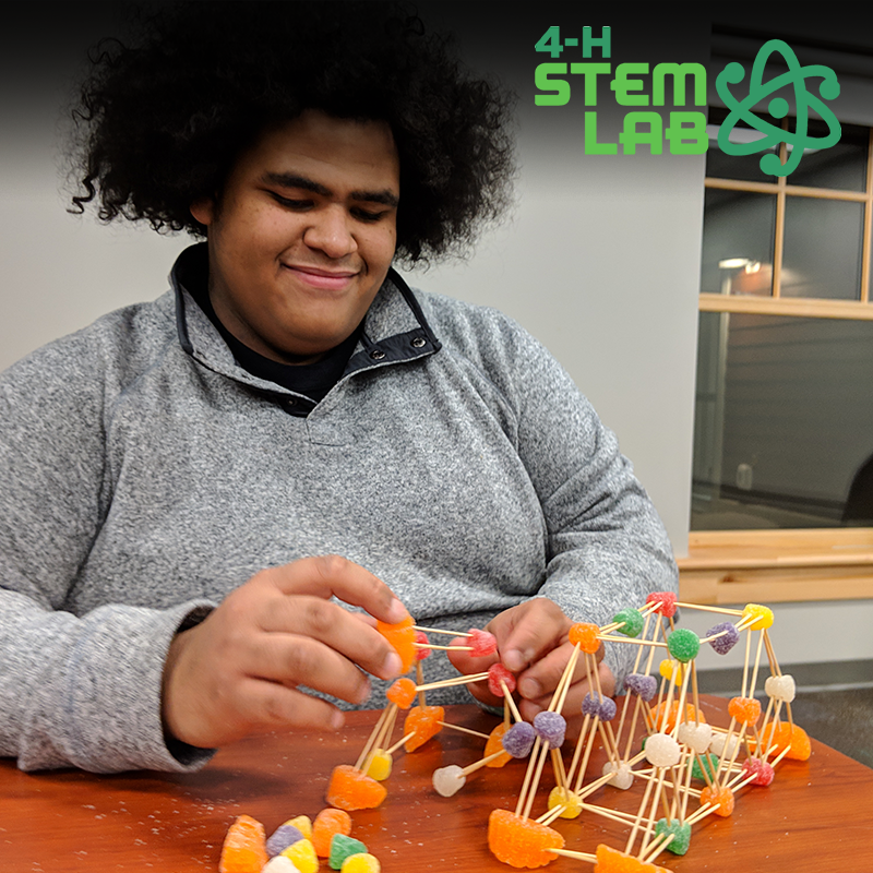 4-H - Celebrate #NationalEngineersWeek by learning how to build a ...