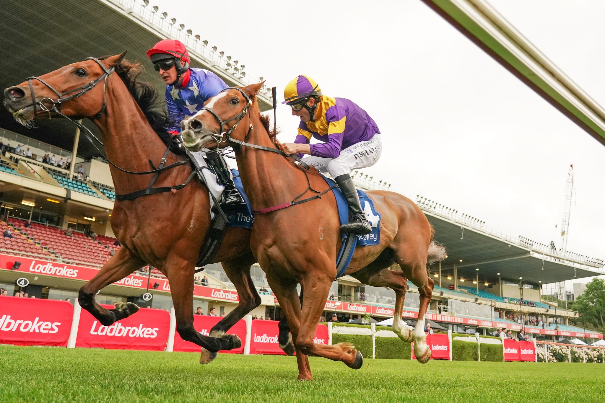 Racing Victoria - After 3870 metres, only half a length separated them ...