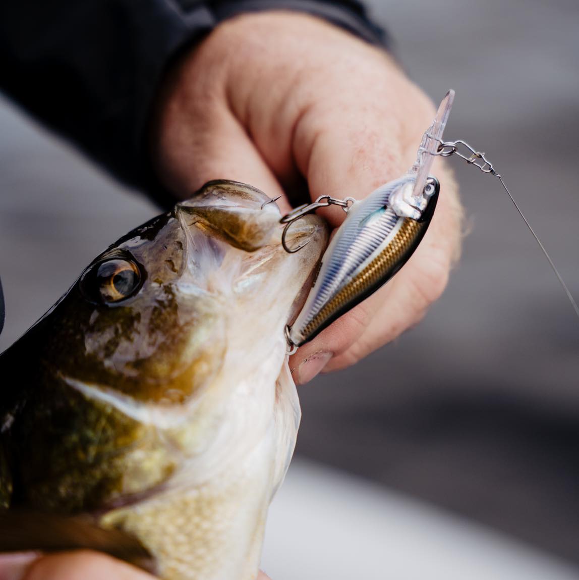 daiwa bc reel PR 100 Baitcasting | Left-Handed | PR-100L zero Technique:Downrigger ✓Top 5: Best Baitcaster Constructed with precision