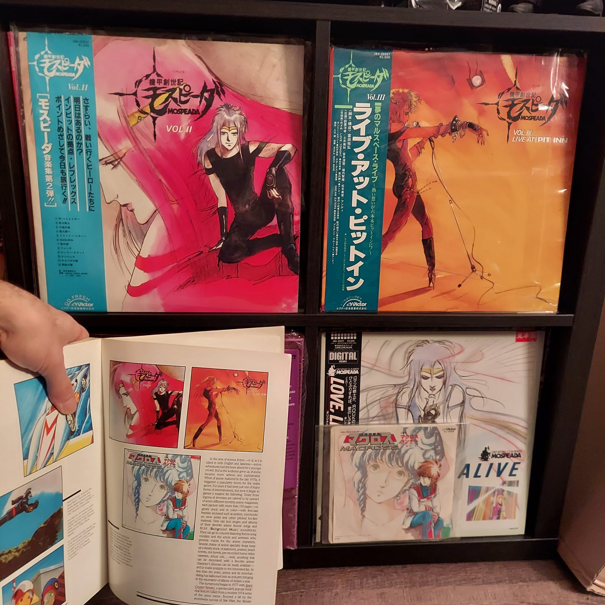 Macross/Southern Cross/Mospeada/Robotech collection at home office