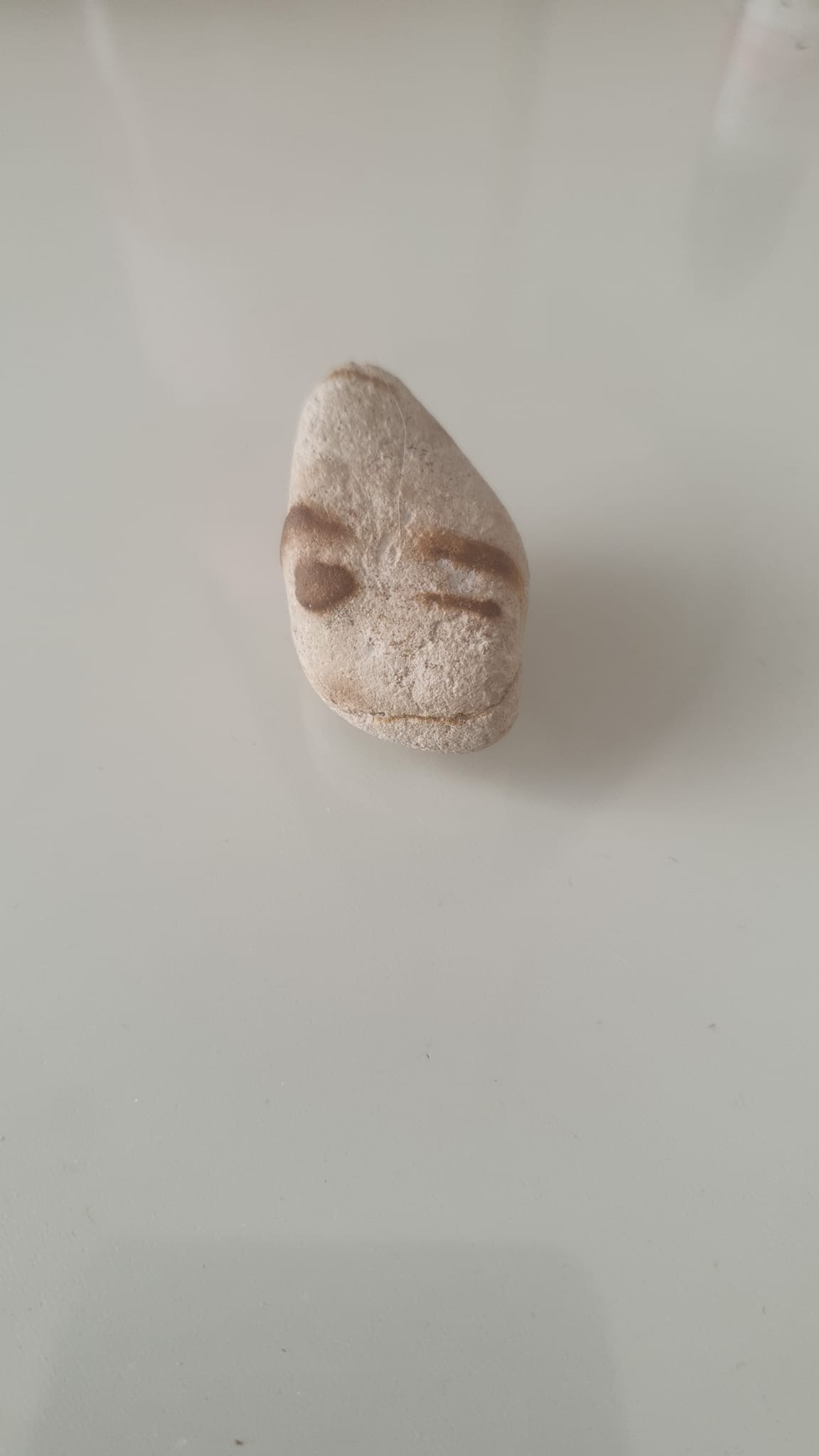 At first glance, these may look like sculpted faces—but every one