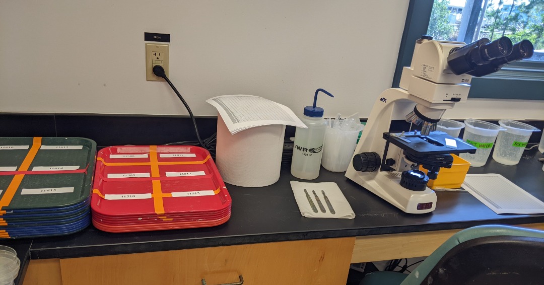 Auburn University Shellfish Lab - Home