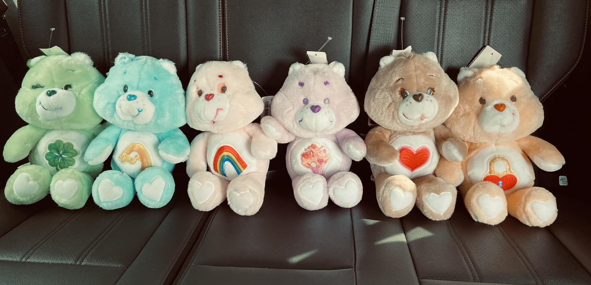 Finding vintage 80's Care Bears at Windsor Goodwill