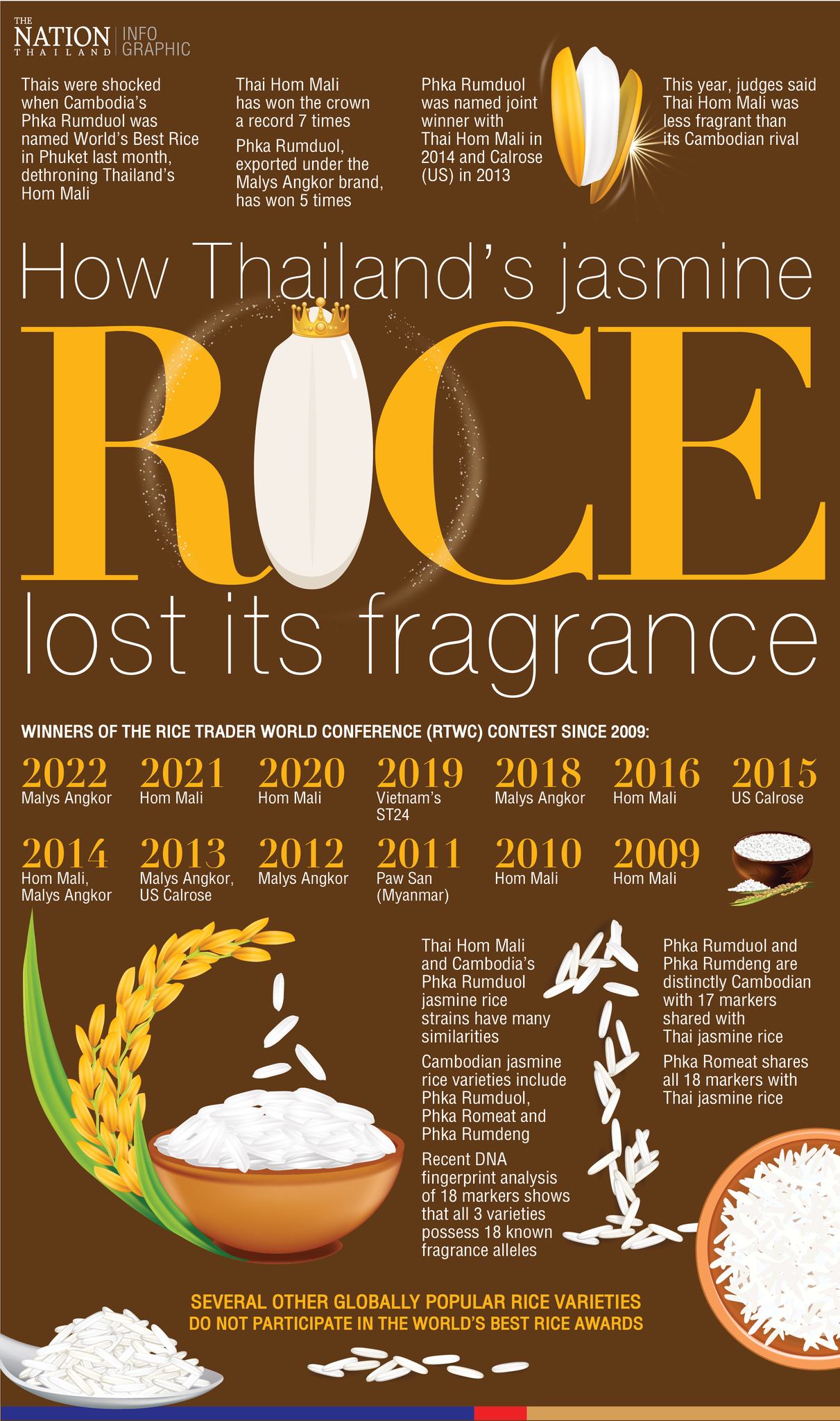 The Nation Thailand - How Thailand’s jasmine rice lost its fragrance ...