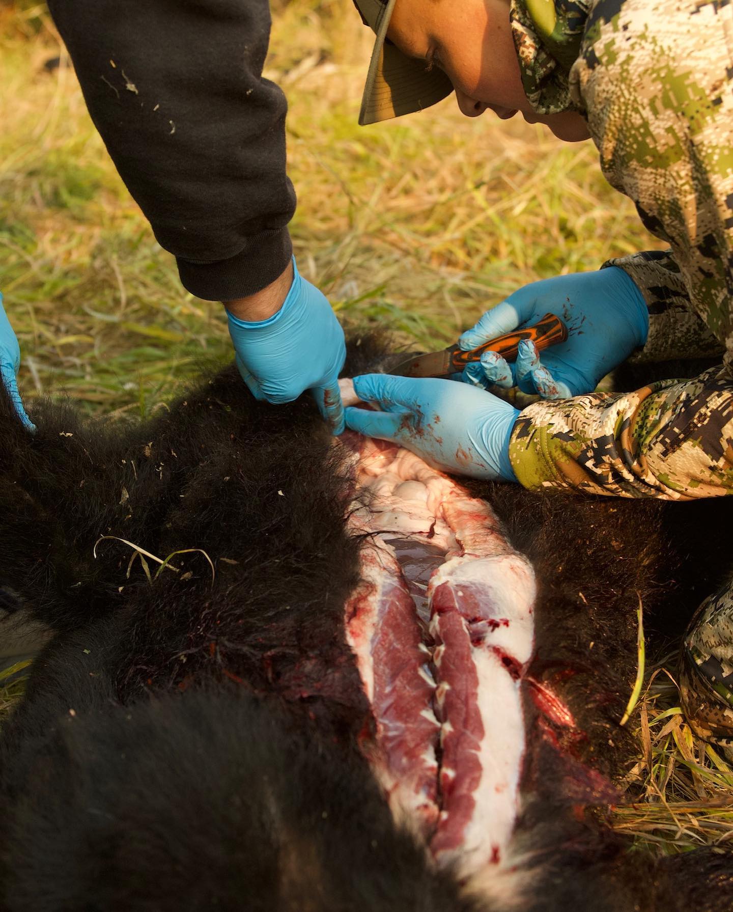 how do you field dress a black bear At 14 years old Hank got up this morning and went hunting behind our house by himself. He was looking for deer but as he was moving through the trees a platform shoes Womens Light Blue Dress Color:Peach Pink