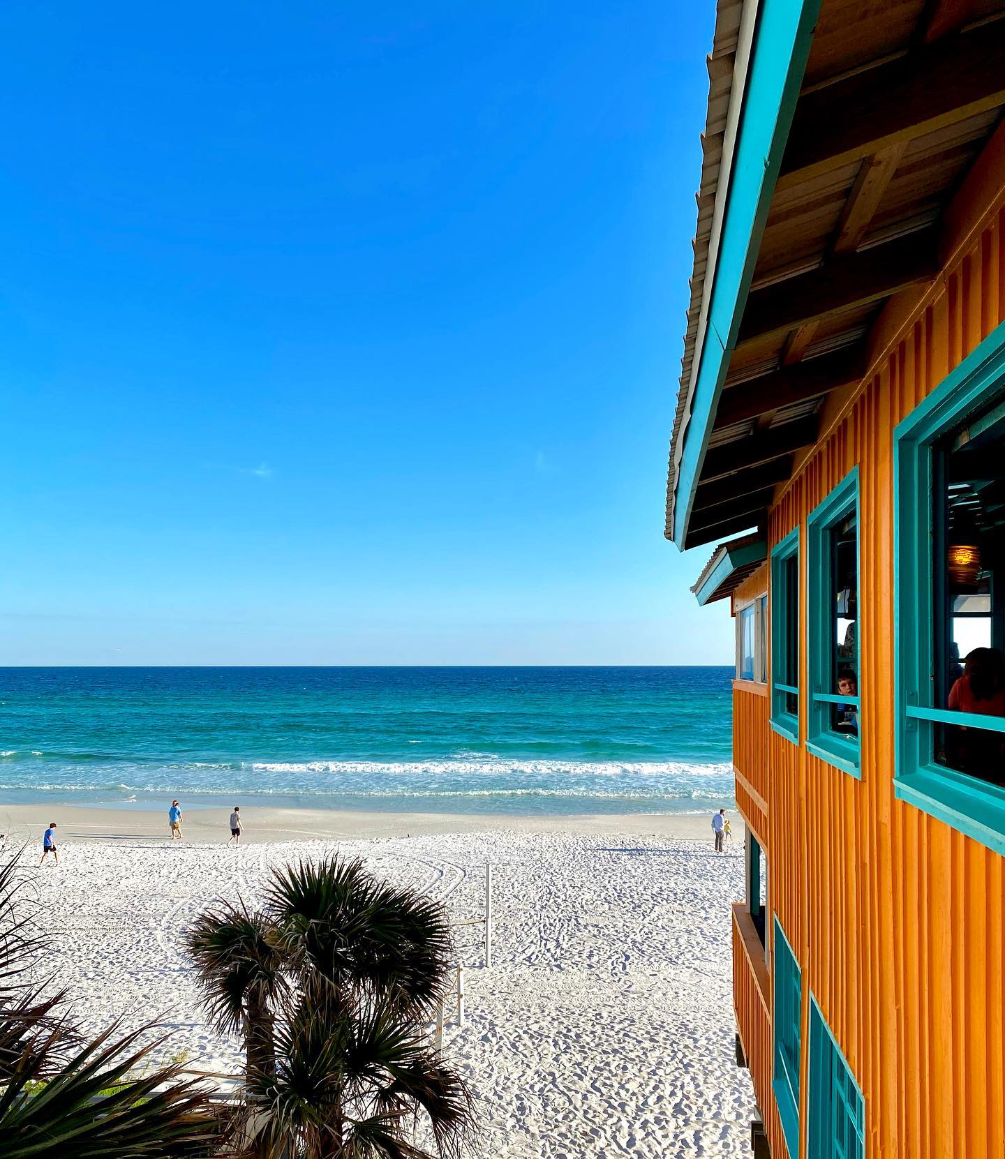 🌊Seas the day!🐚🍤🐠... - The Back Porch in Destin, Florida | Facebook