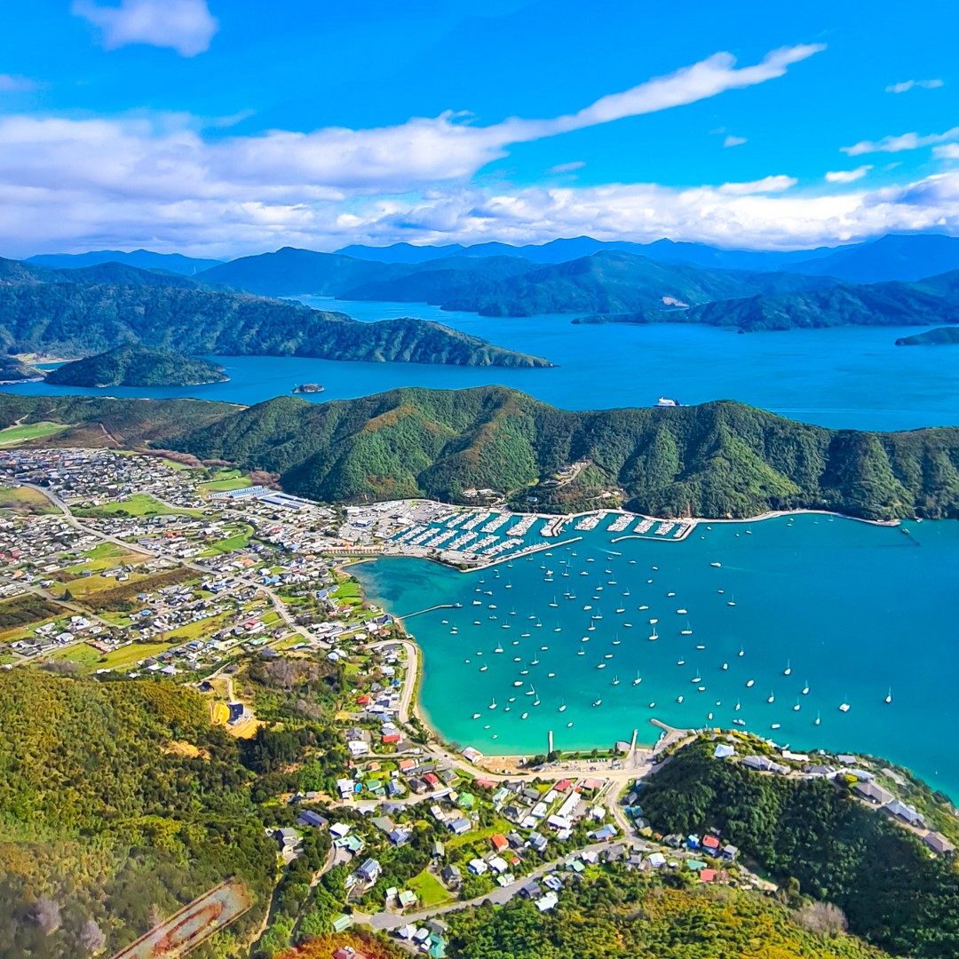 Bluebridge - Picton looks ready for summer, 24°🌡️☀️ recorded early ...