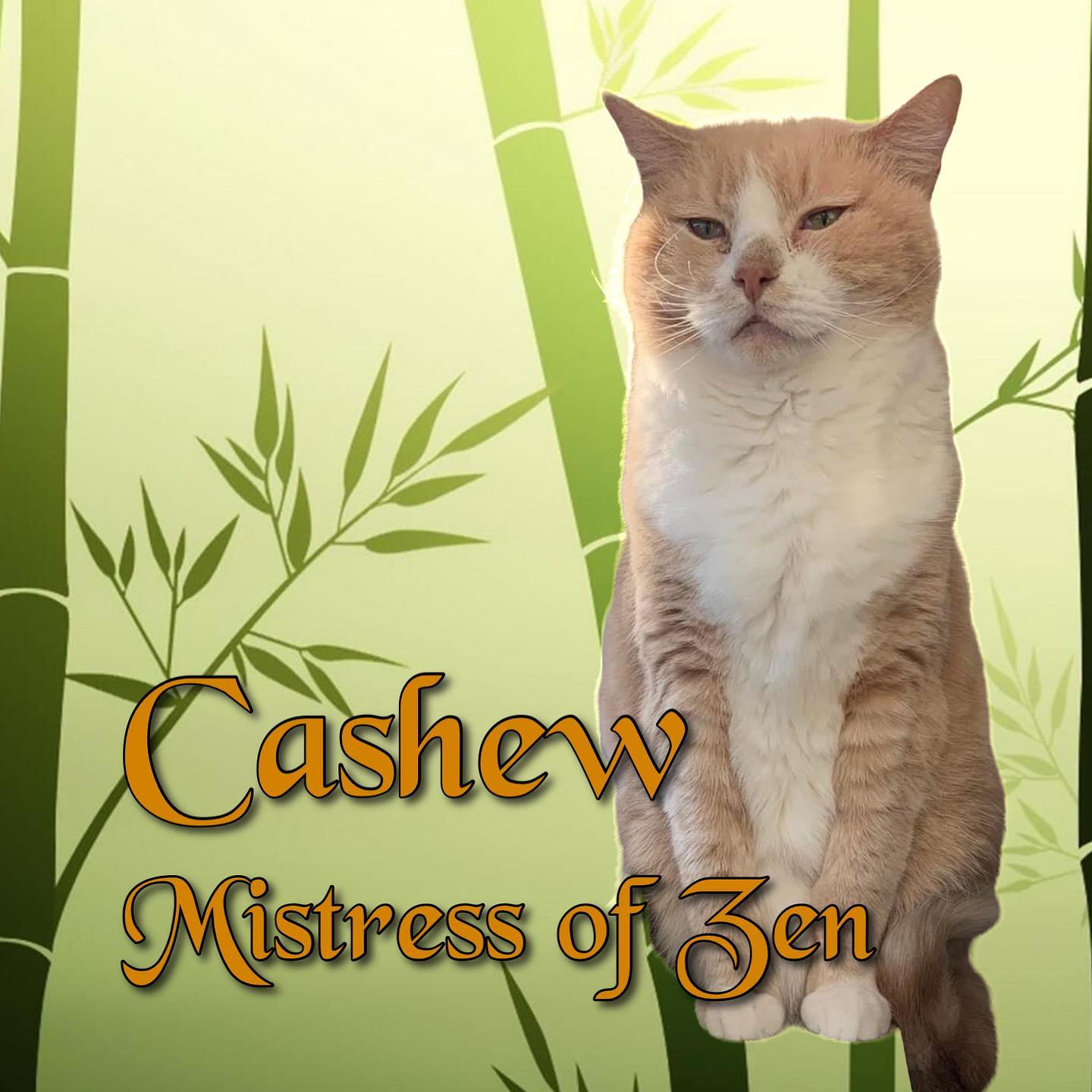 CASHEW... - MaxFund No-Kill Animal Shelter and Adoption Center