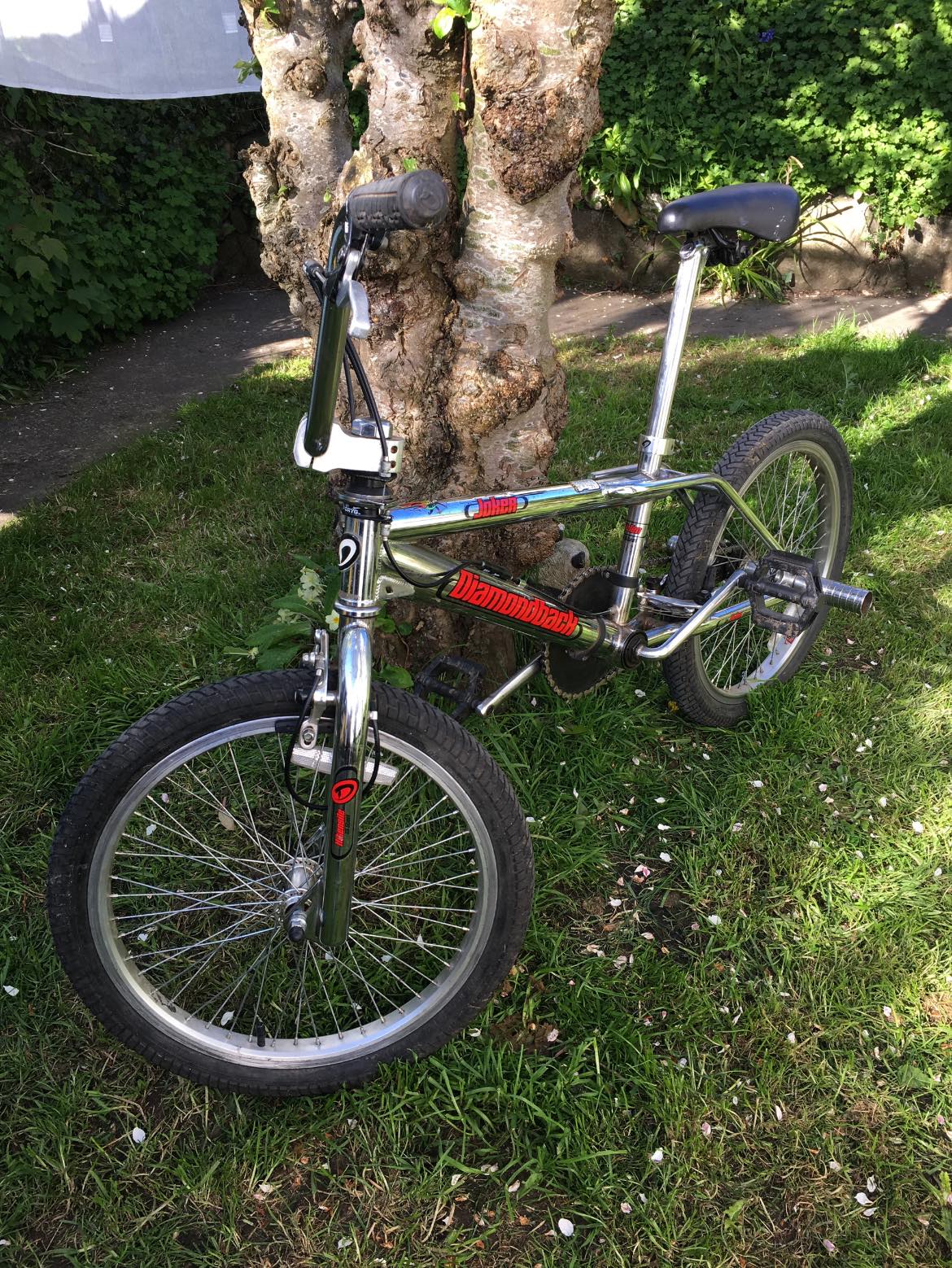My 2011 Diamondback Joker & 2012 Diamondback Grind