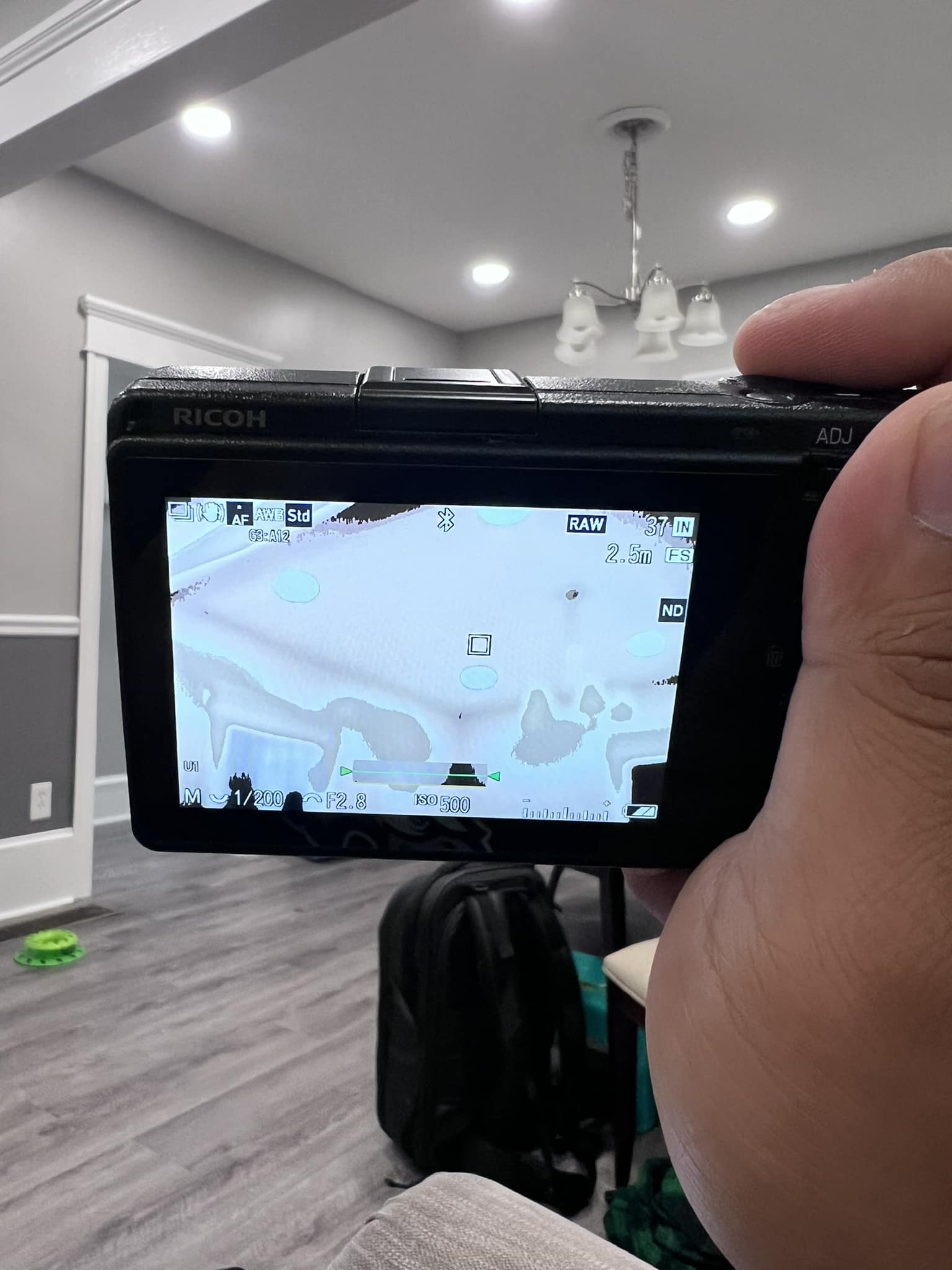 Why does Ricoh GRiiix LCD screen go crazy with overexposed shots?