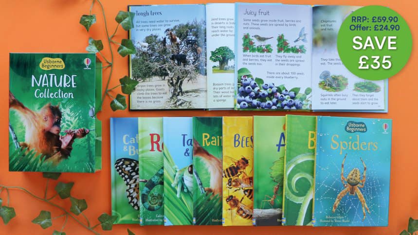 Usborne Beginners Nature 10 book set collection
