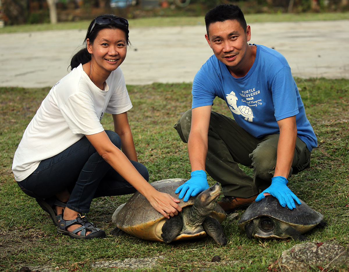 Meet Dylan Wang, today’s TSA... - Turtle Survival Alliance | Facebook