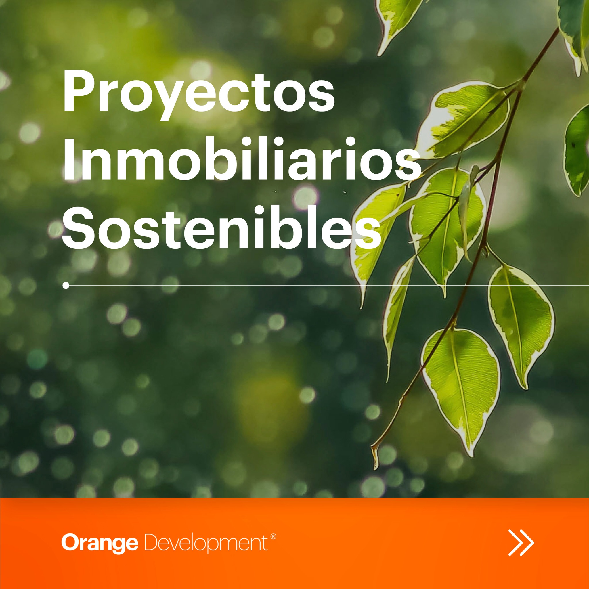 ¿Conoces el concepto Triple Linea... - Orange Investments