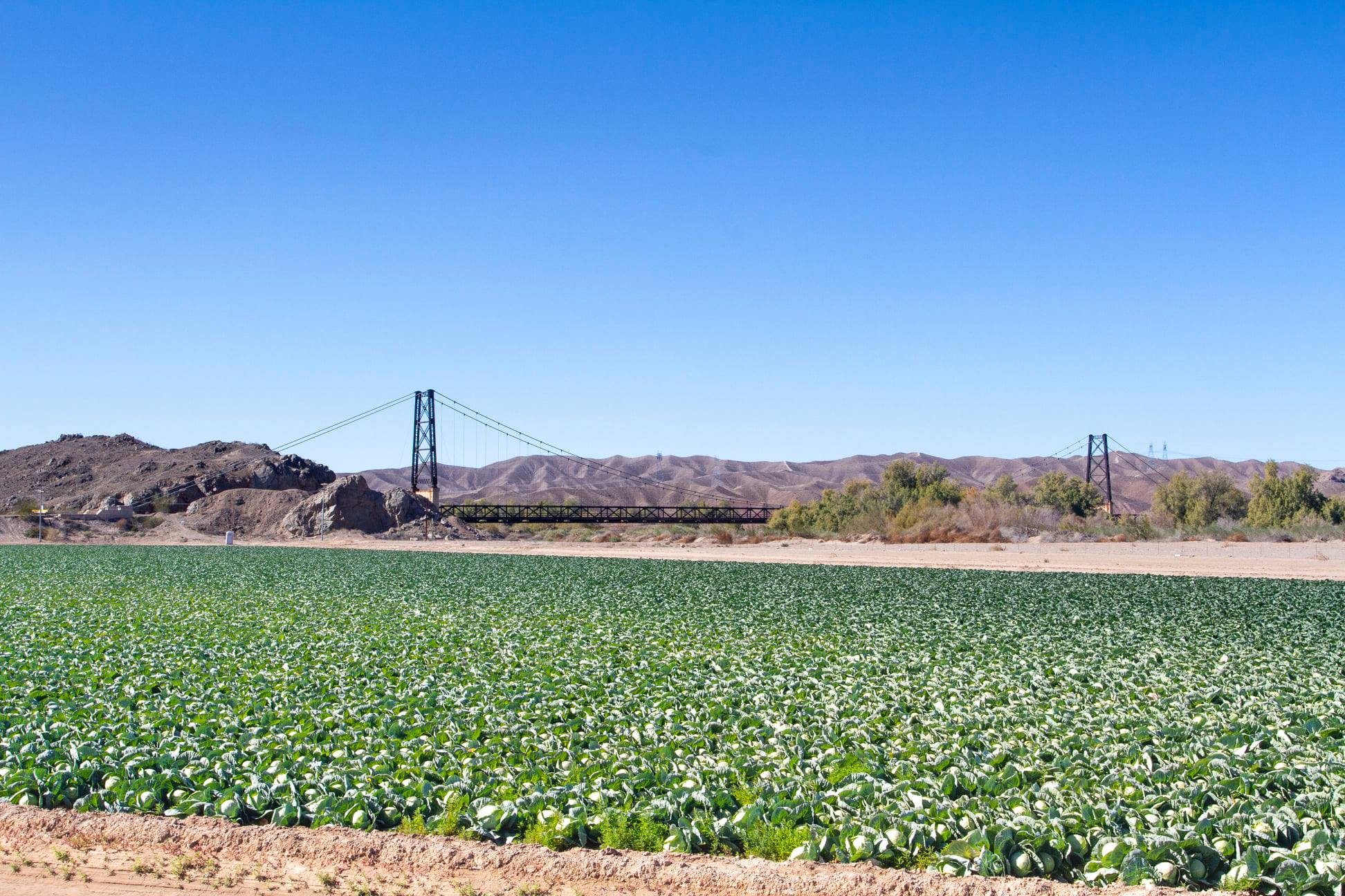 Old La Linda, Mexico crossing One goal for my September 2016 trip