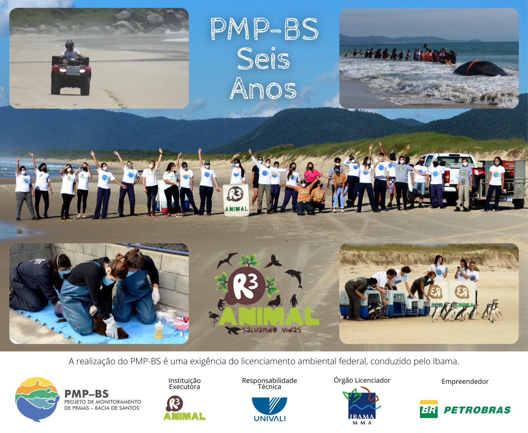 🐬Hoje, 24 de agosto, comemora-se... - Associação R3 Animal