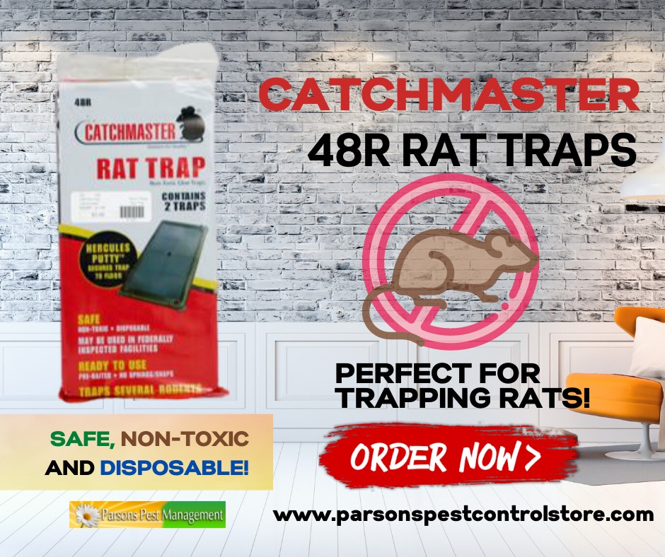 Parsons - Catchmaster 48R traps are safe, non toxic, disposable rodent ...
