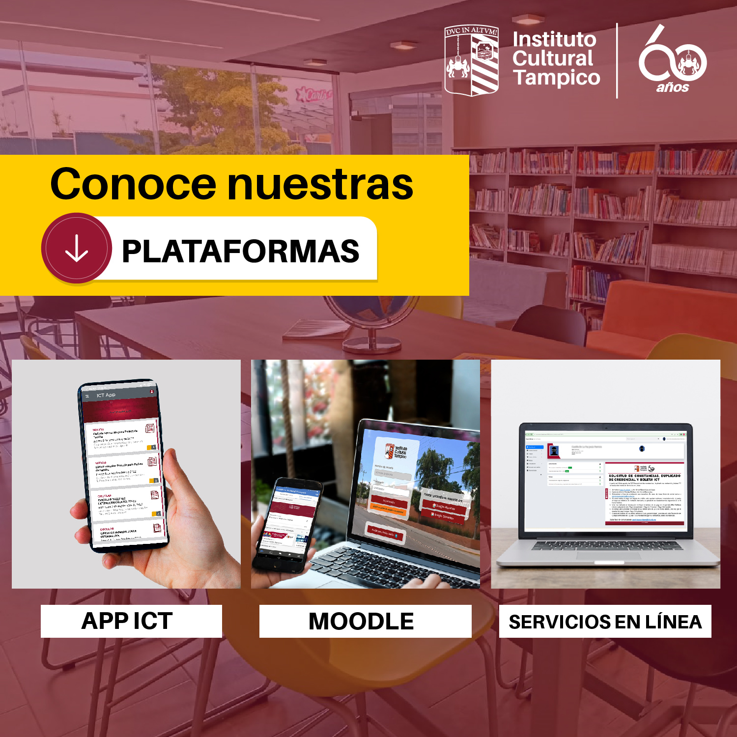 Instituto Cultural Tampico - Conoce las plataformas institucionales que ...