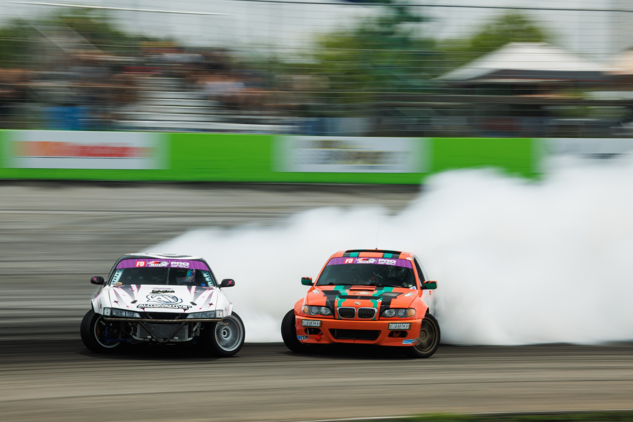 Shaky Dog Racing