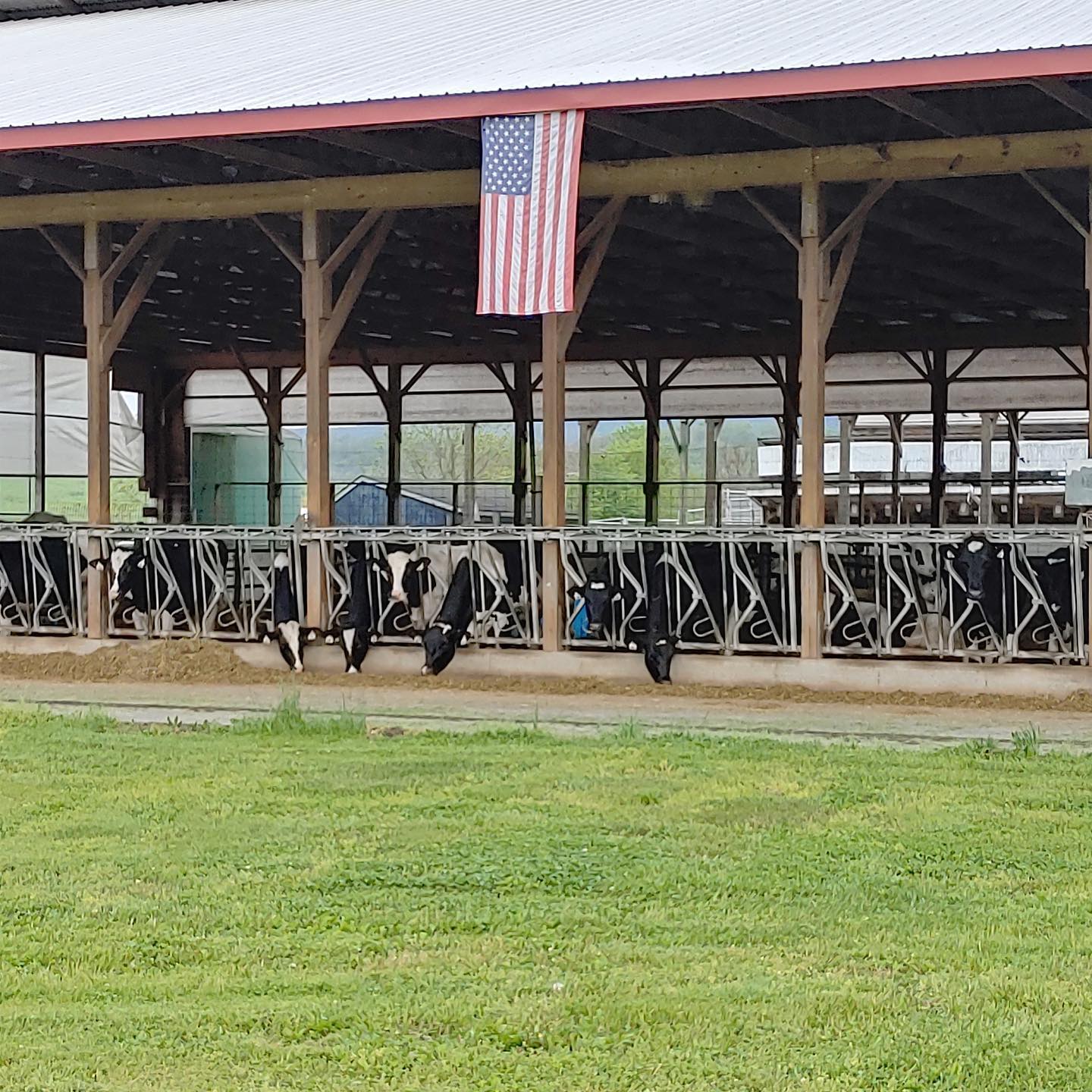 The milk produced on BAD farm is... - Emmaus Farmers' Market | Facebook