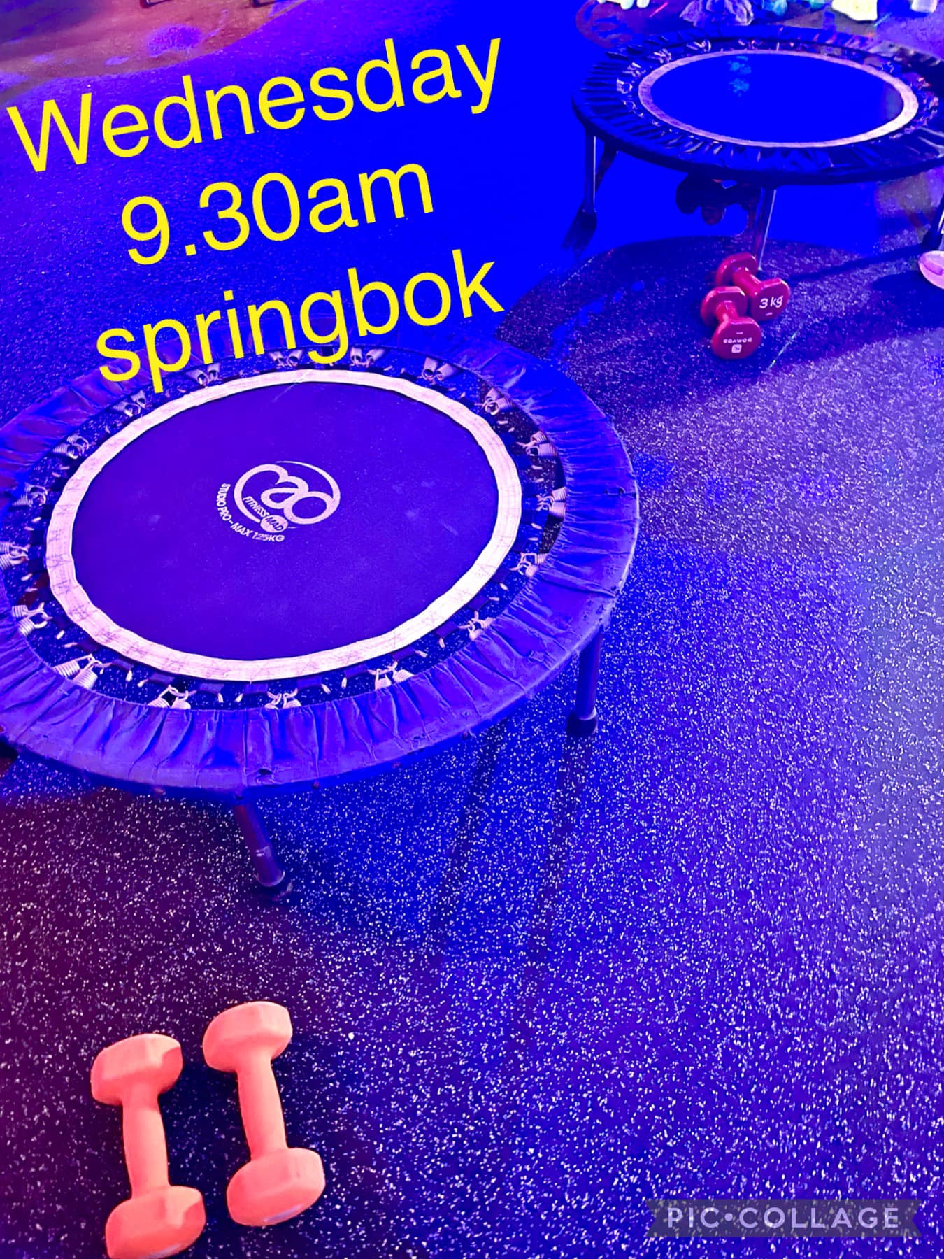 Springbok Fitness Ongar | London