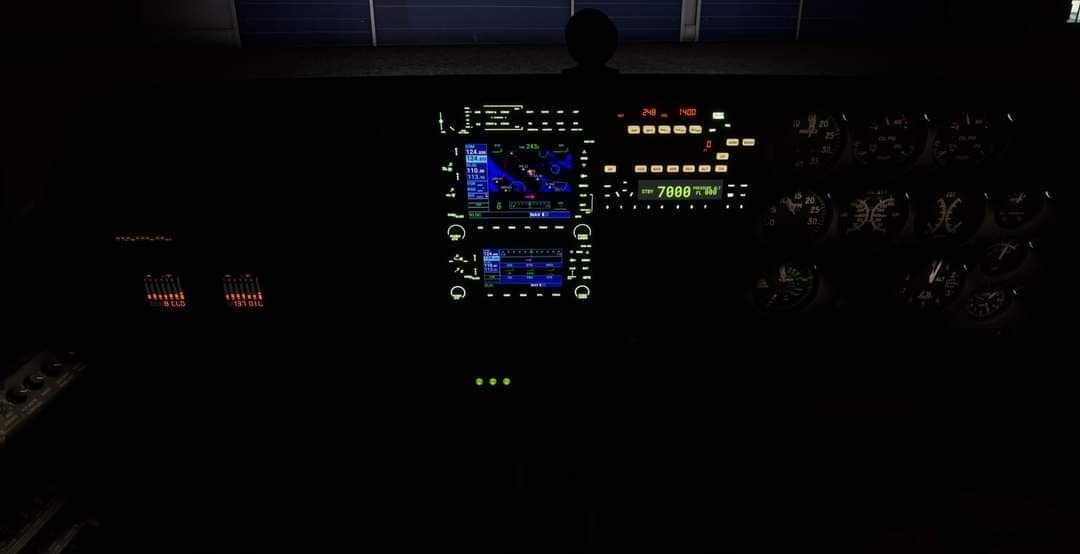 Microsoft Flight Simulator 2024 (Asobo Studio) | Hi, does anyone else ...