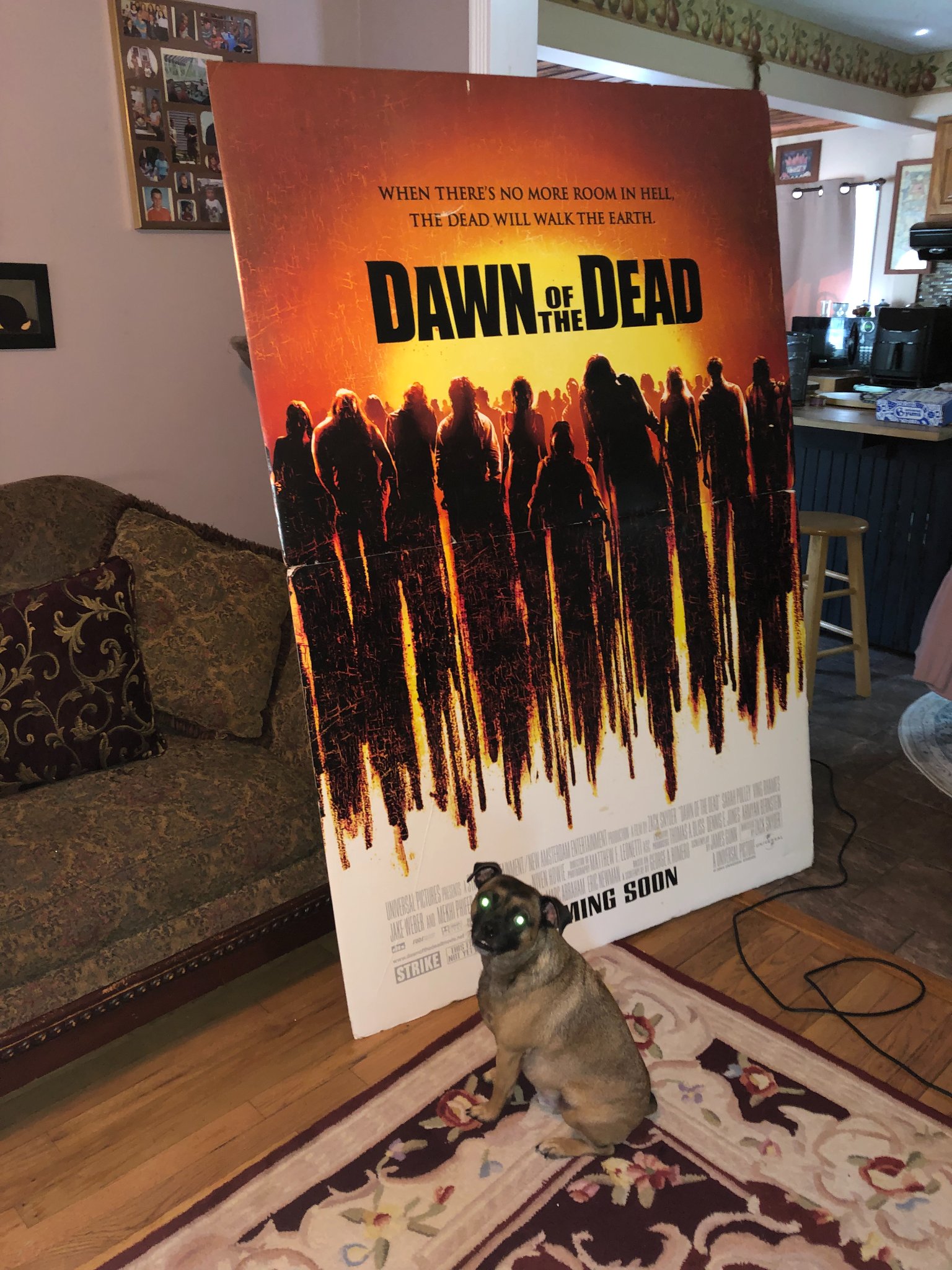 The Japanese version of the Dawn Of The Dead poster.