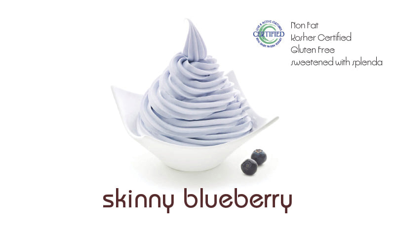 Mojo Yogurt - New flavor is in 