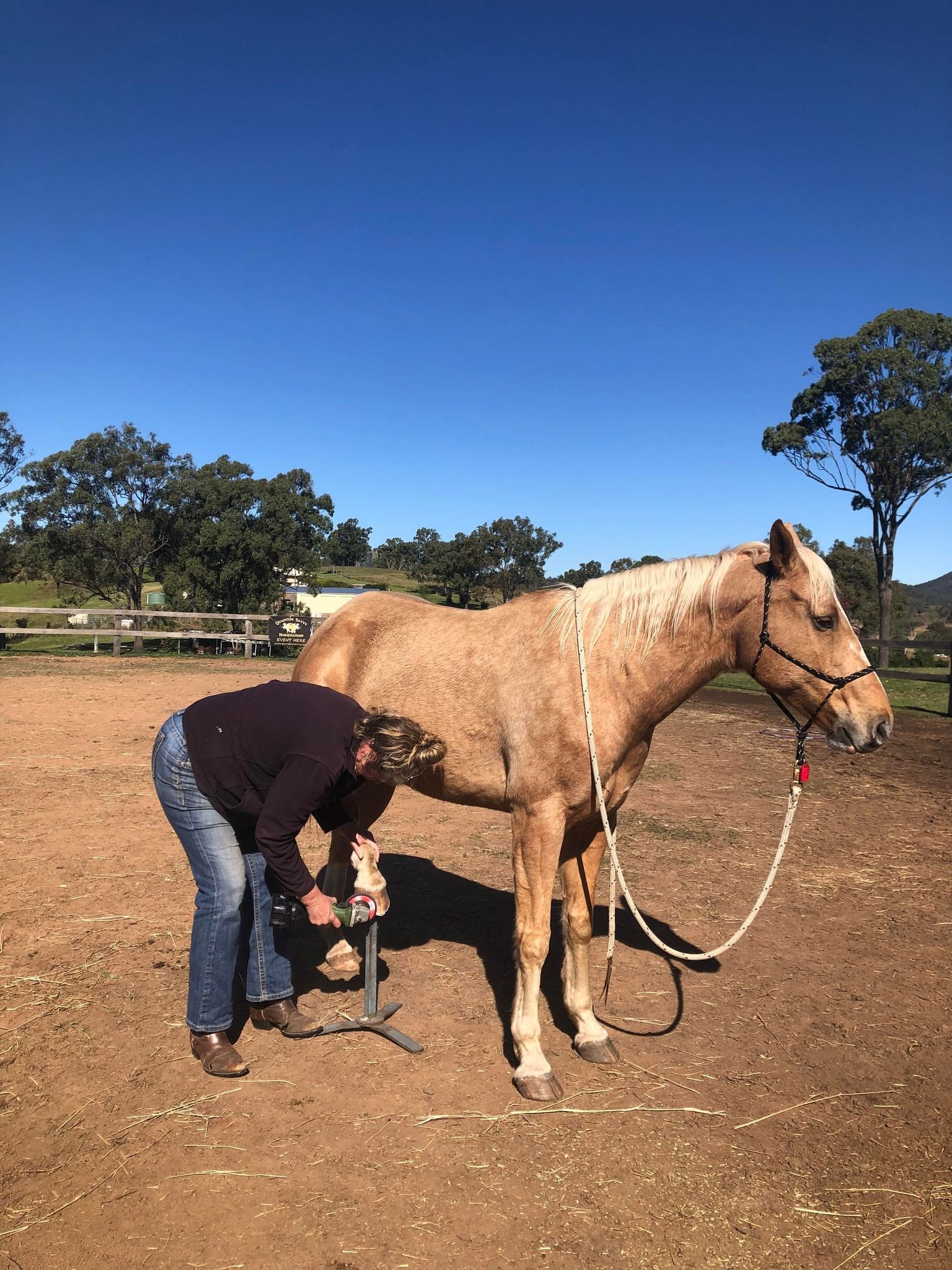 Quantum Savvy Horsemanship - Good boy Rocky! He is not naturally a ...
