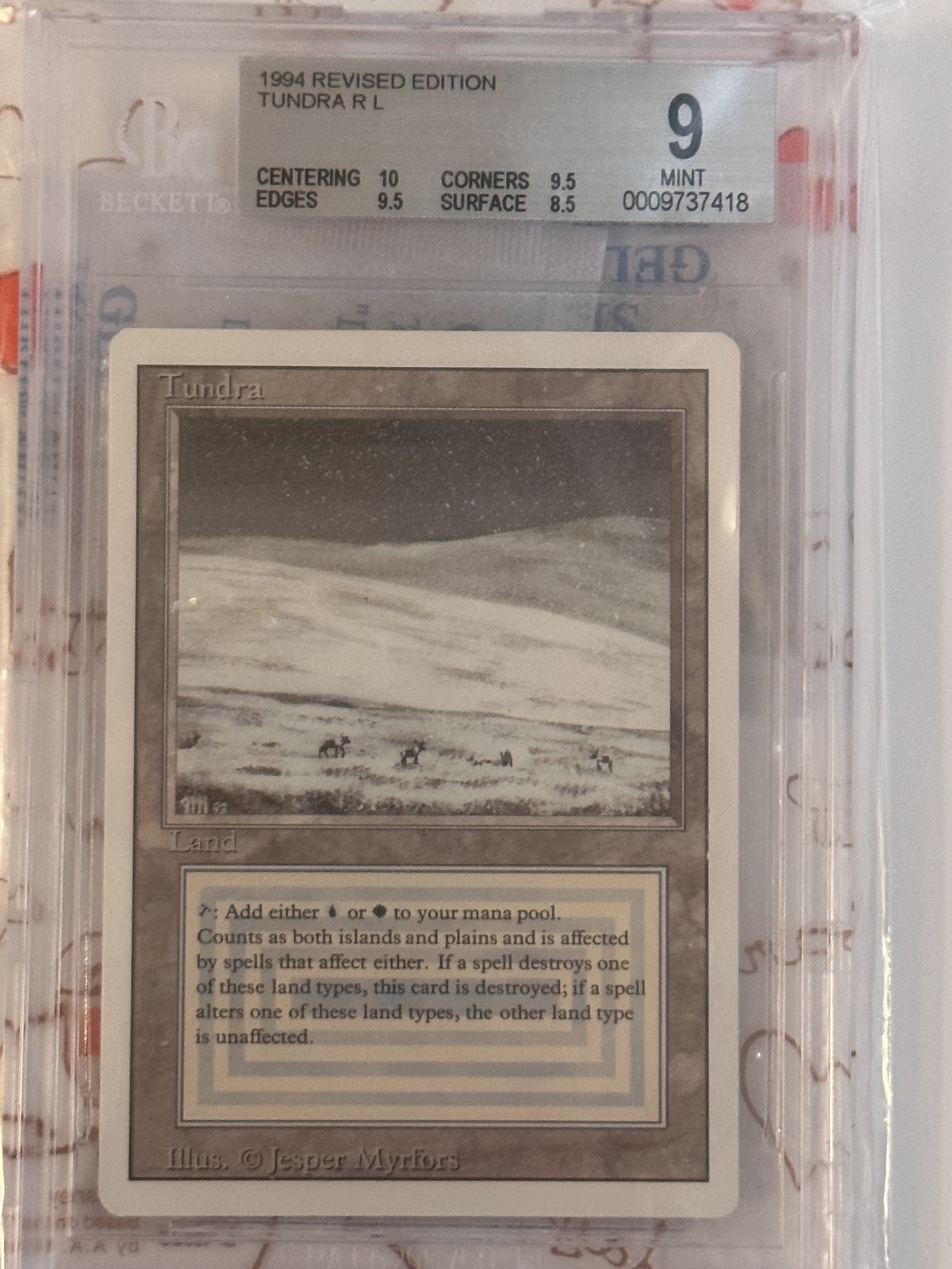 What is the estimated value of a German Tundra card?