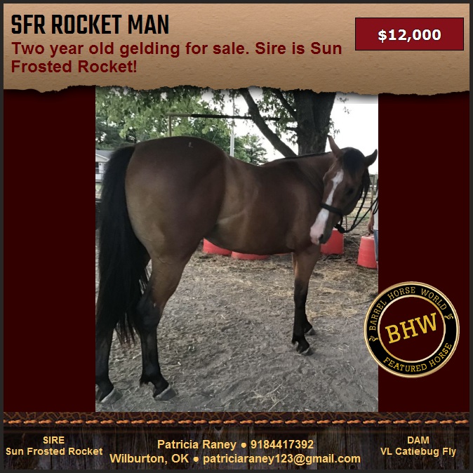 SFR Rocket Man aka Dave is out of... - Barrel Horse World