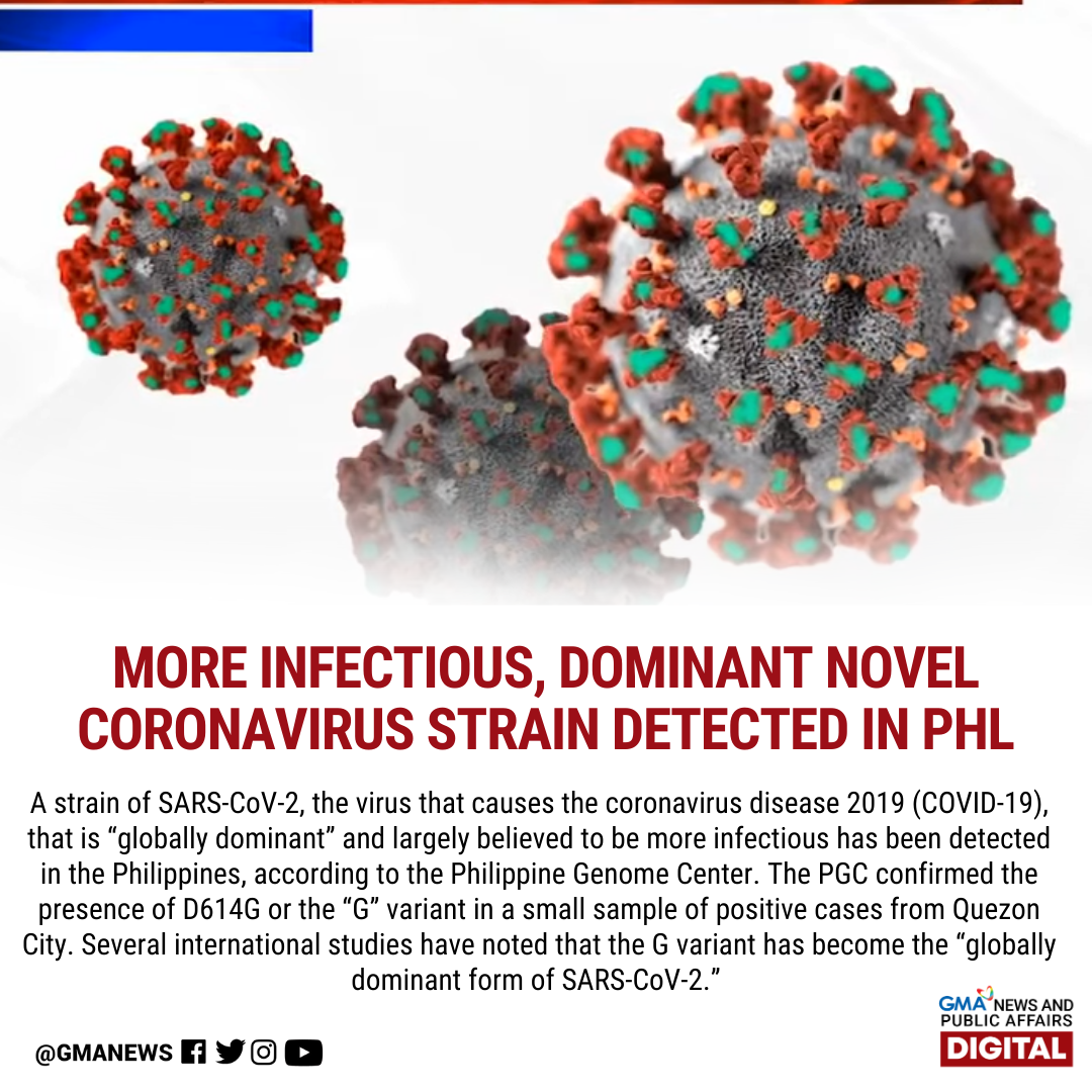 GMA News - May bagong strain ng SARS-CoV-2, o ang virus na...